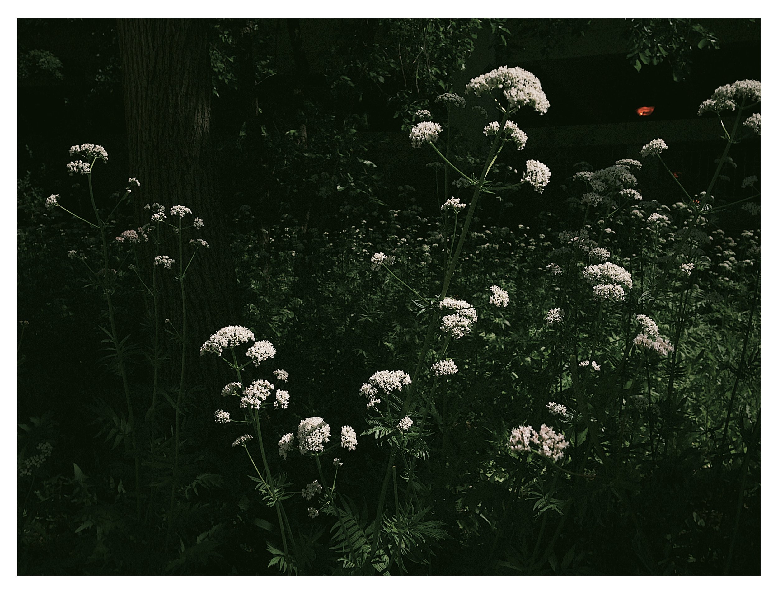 entry no. 9, reinvention for dummies?