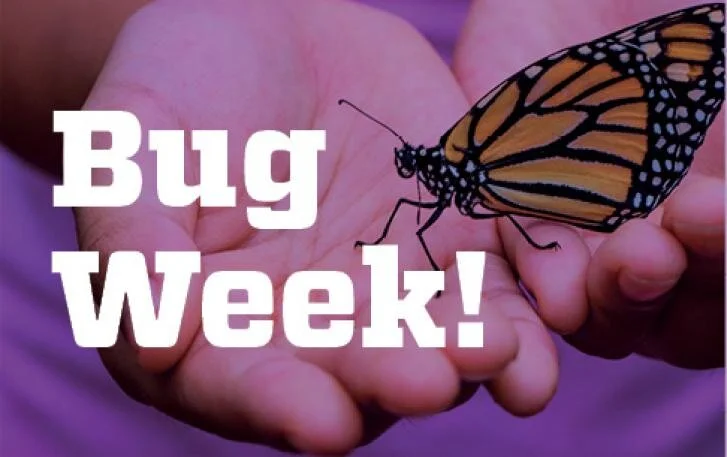 OMSI BUG WEEK