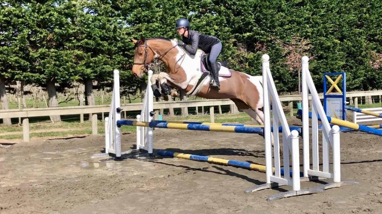 Xtreme Sport Horses