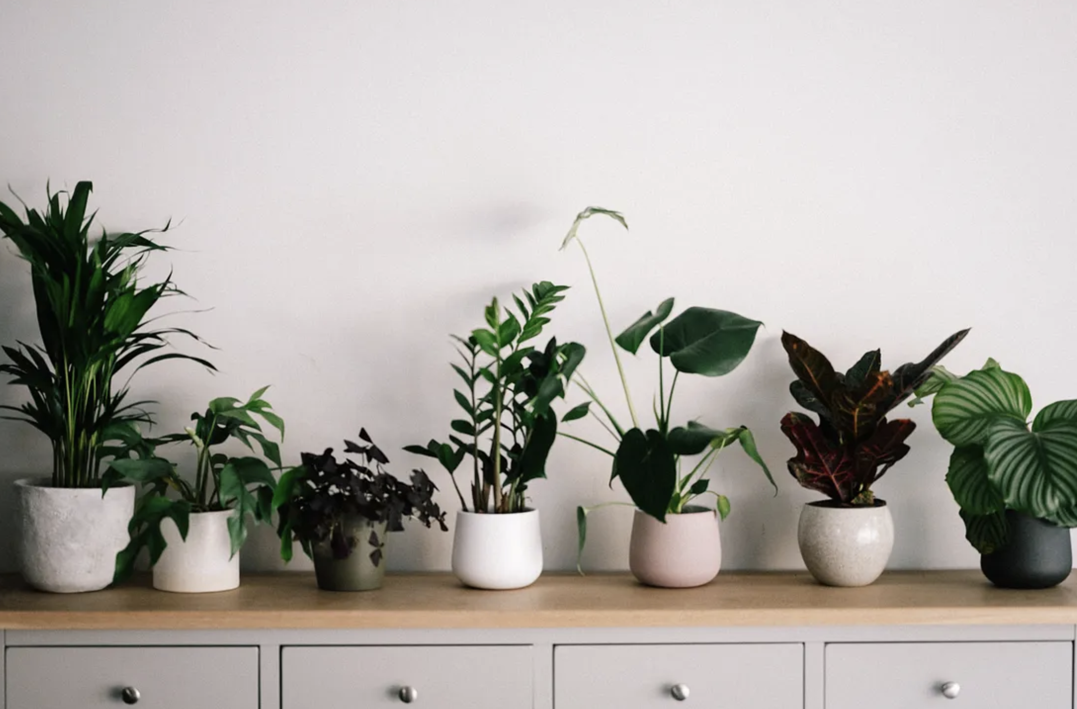 The Benefits of Coworking For Freelance and Remote Workers