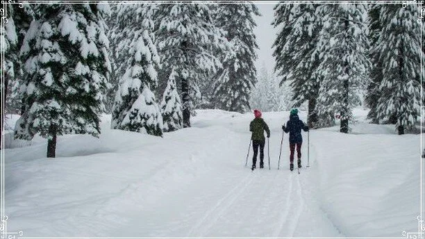 Wishing You a Happy Holiday Season