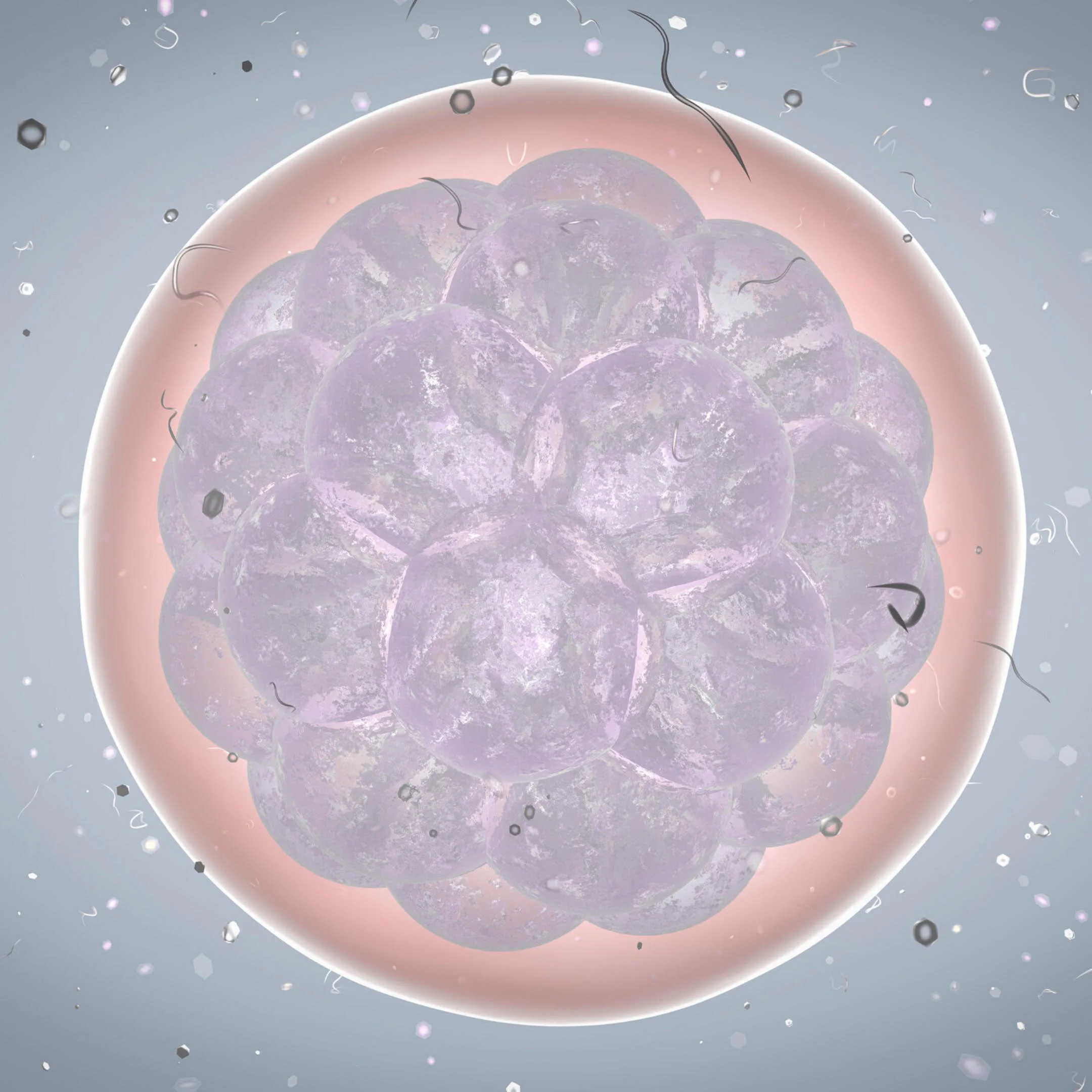 A patient story:  Who owns your IVF created embryo?