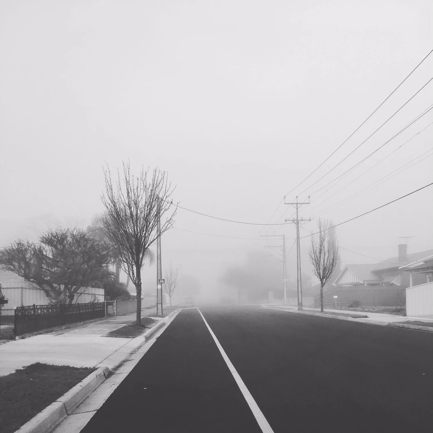 IMG_3680 (2019_05_15 07_26_16 UTC).JPG