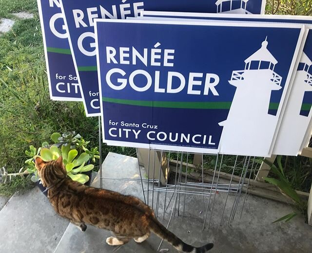 We have new signs!! If you want one go to my website ReneeGolder.org the link is in my bio!! And maybe you will get a new cat too! Lol! Also thank you for the many  generous donations! If you would like to donate to my campaign you can also go to my 