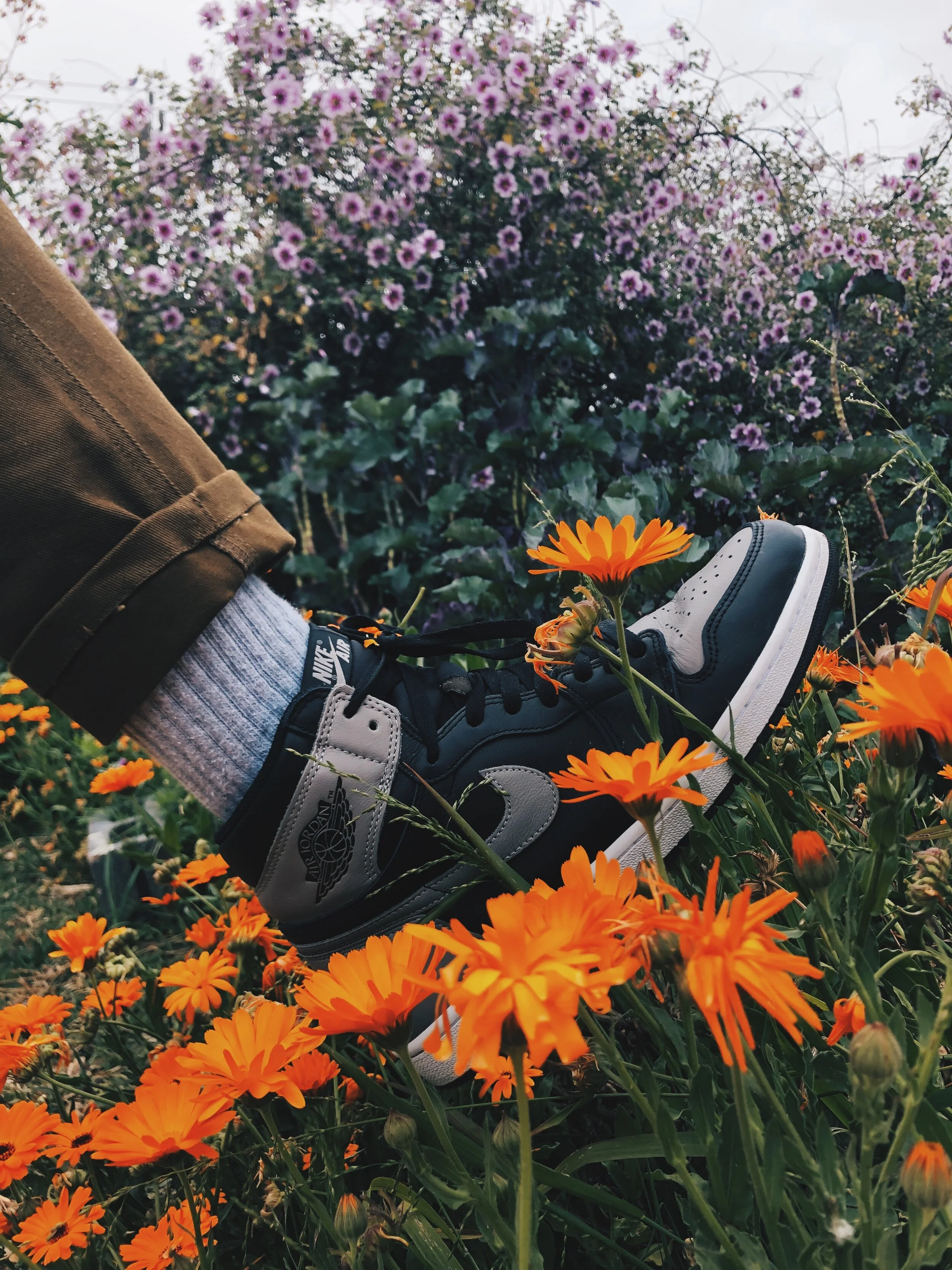 19A1FB63-C1A2-43D2-931A-31B992527EFC 3.JPG