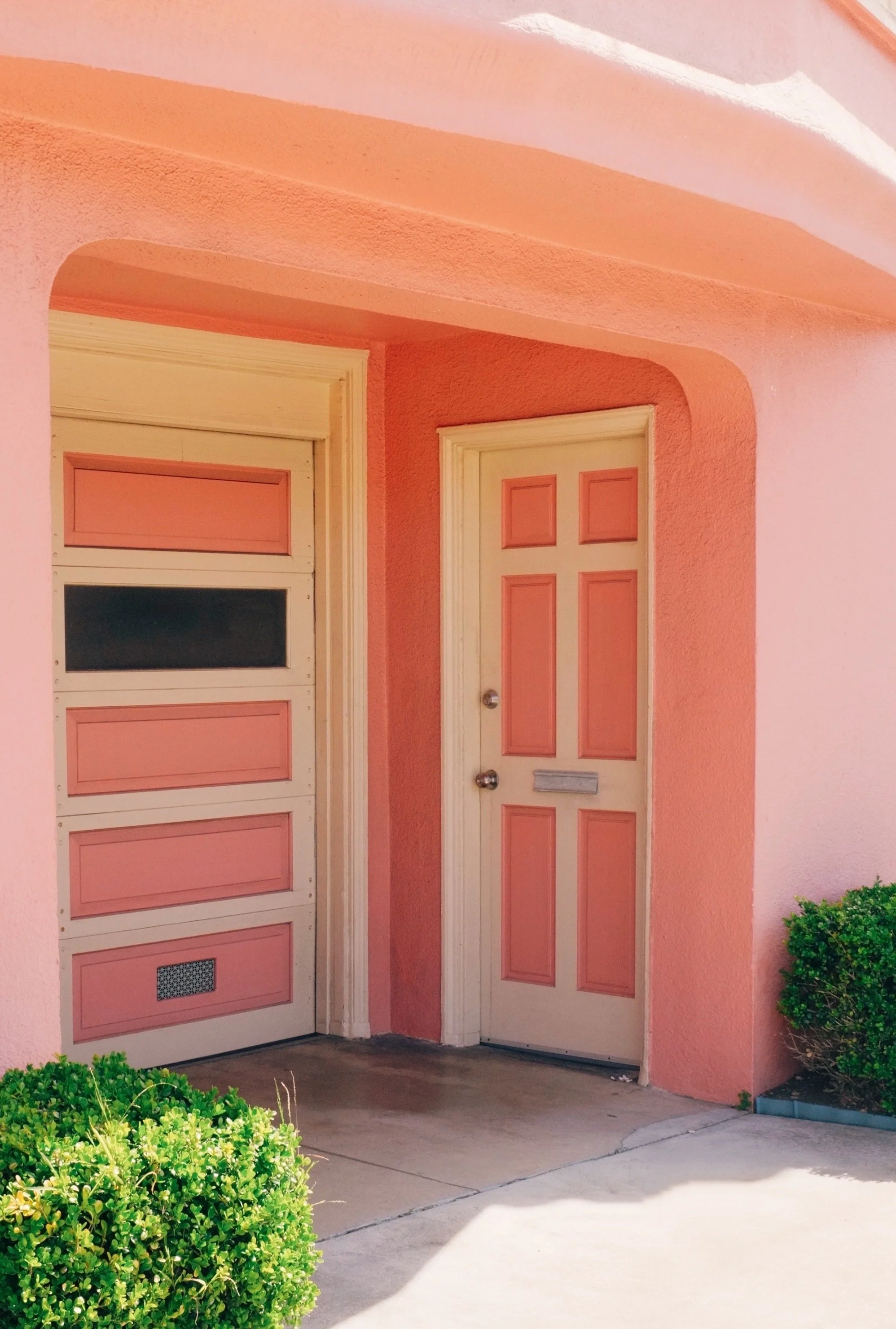 pink2.JPG