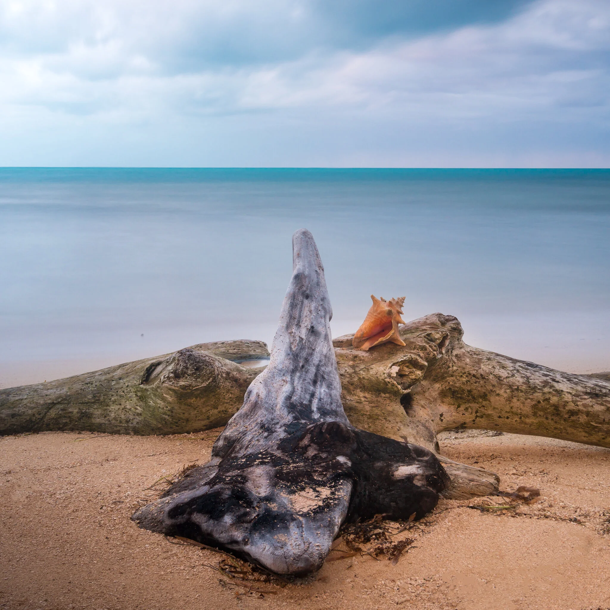 Beach-Scene-2-WEB.jpg