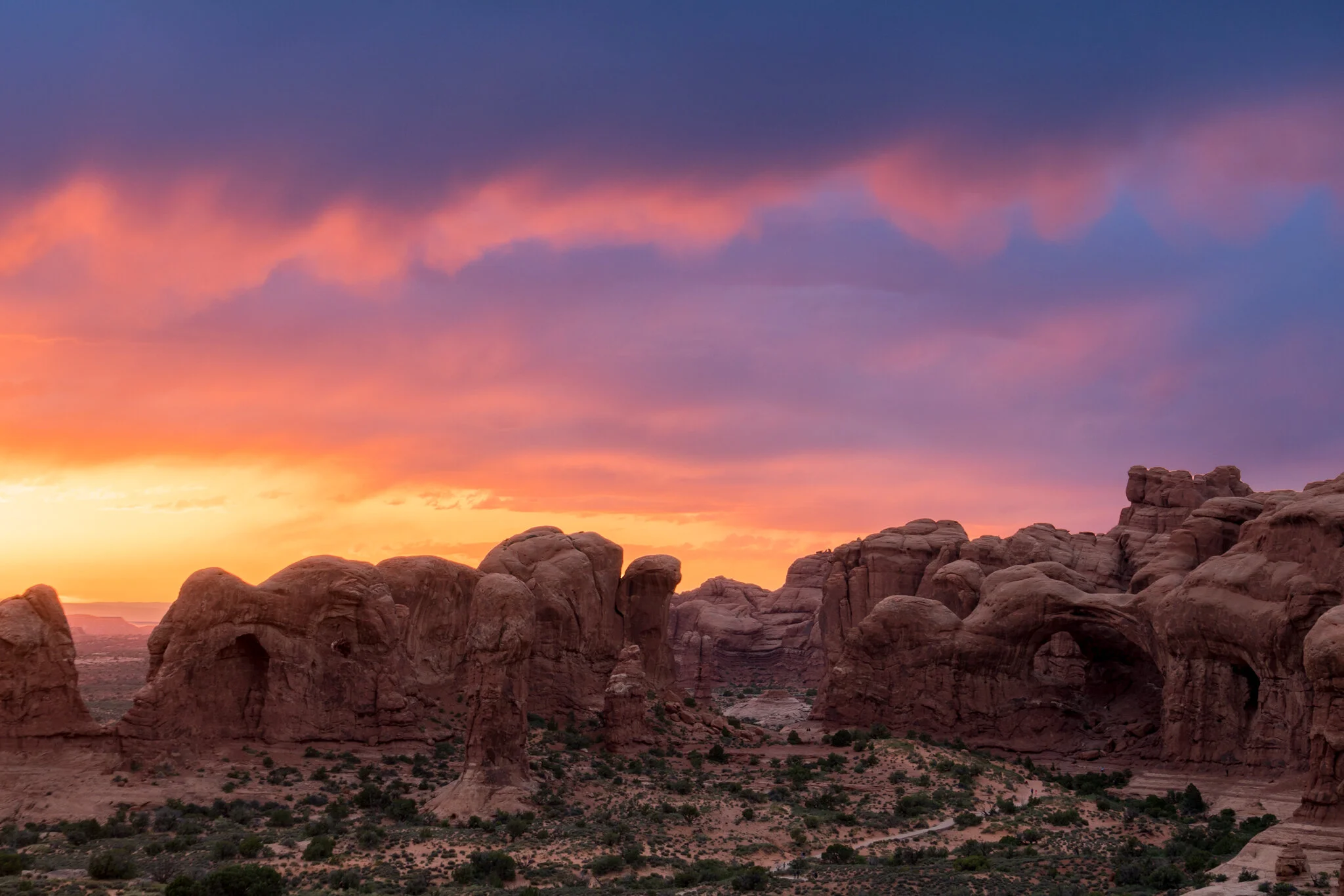 Marching Elephants WEB 2x3.jpg