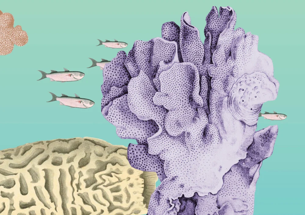 Coral_workshop.jpg