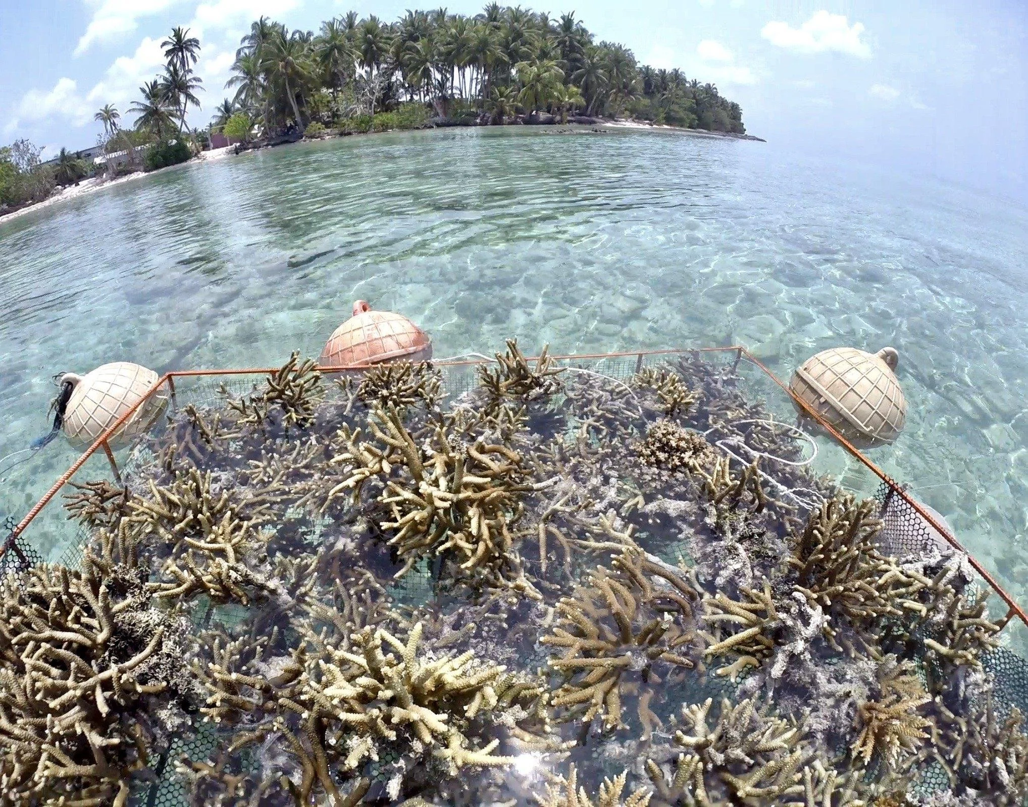 Screenshot 2020-03-25 20.26.49.JPG