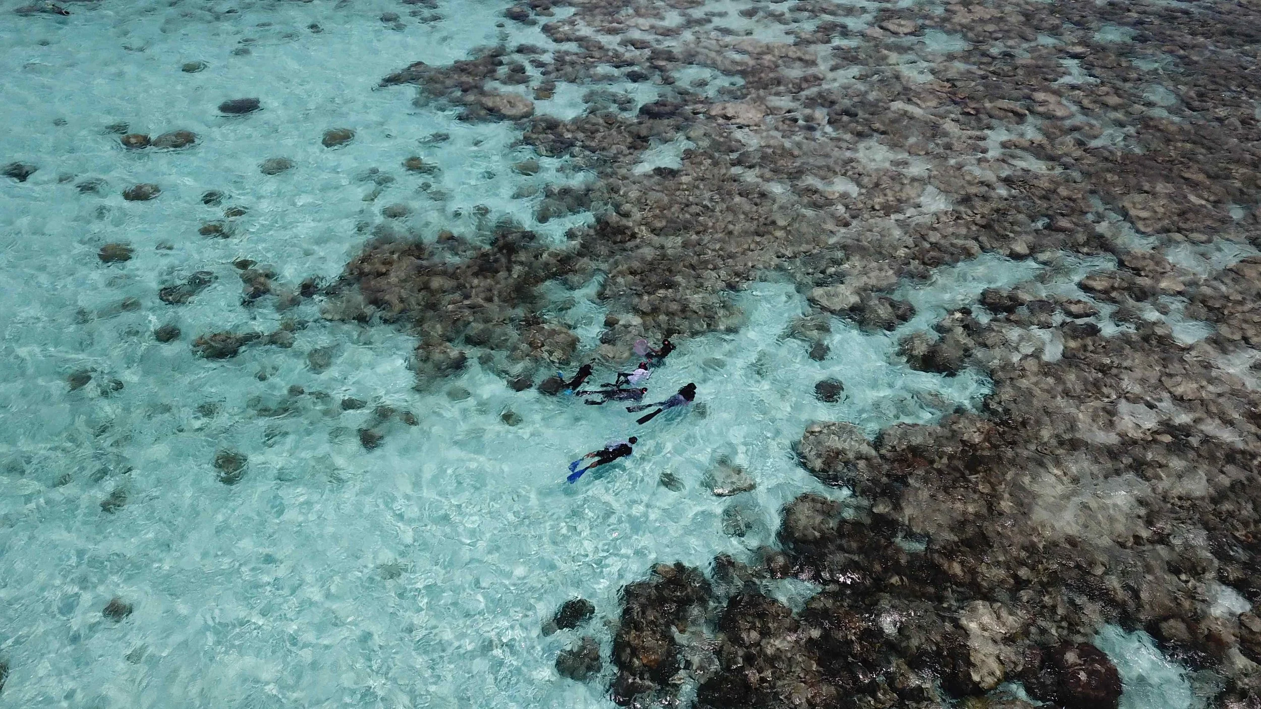 Collection_Drone_Moodhu_Team_corals.JPG
