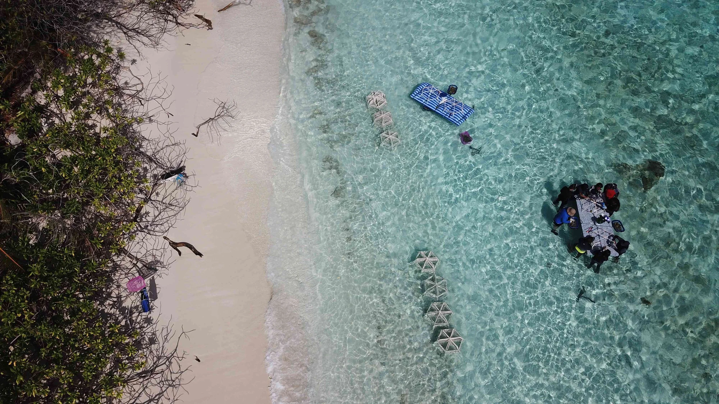 1- Mounting_Drone_Gondudhoh_ReefStars_overview_Group.JPG