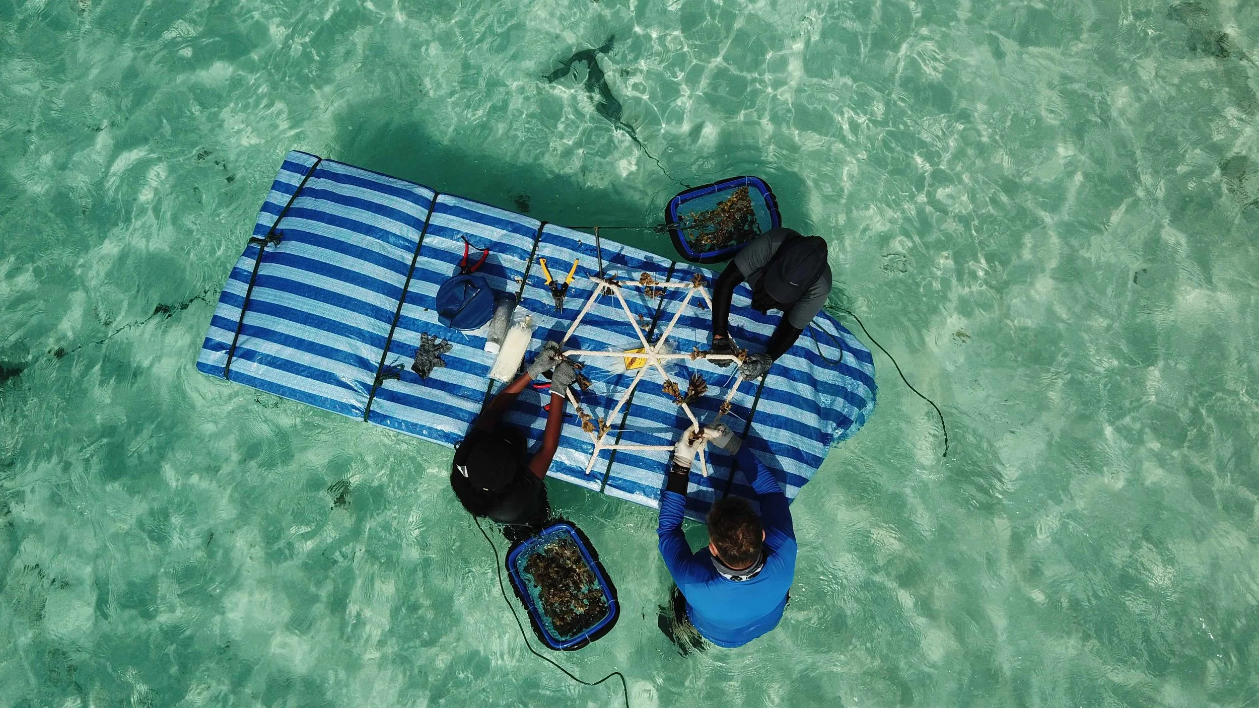 Mounting_Drone_Moodhu_ReefStars_Floats_Group_Noel+2.JPG