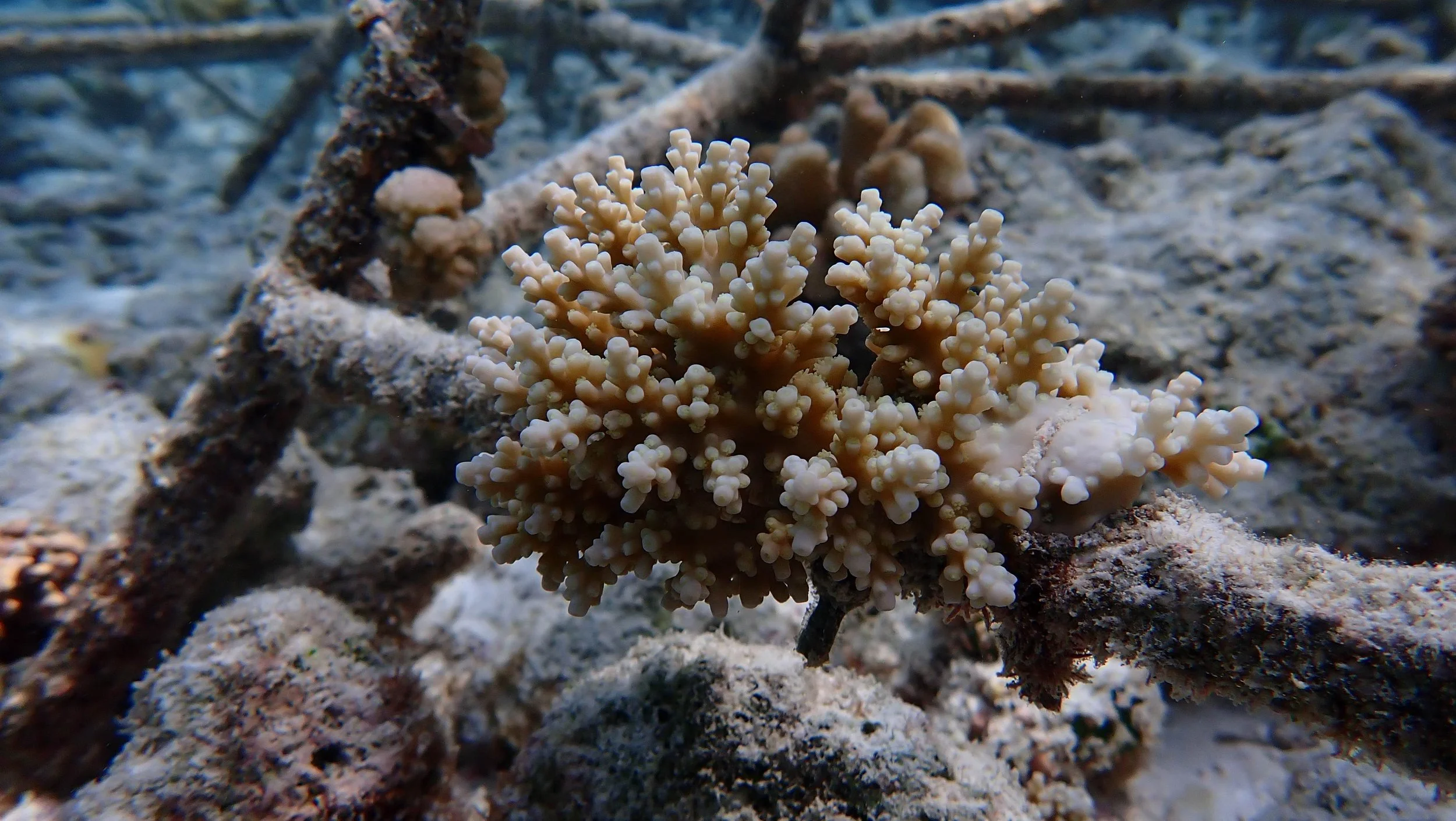 P2292235.JPG