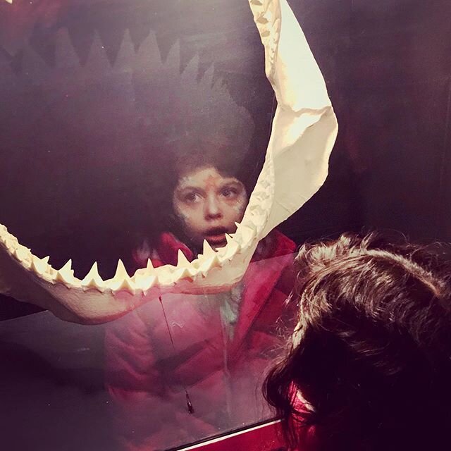 Shark teeth | Adventure Aquarium, Camden NJ #adventure #aquarium #nj #facepaint #camden