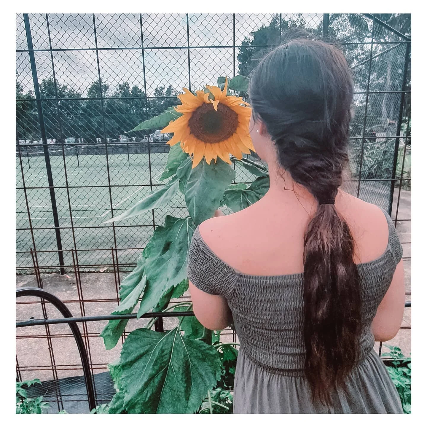 Keep your face to the sunshine, just like a sunflower 🌻