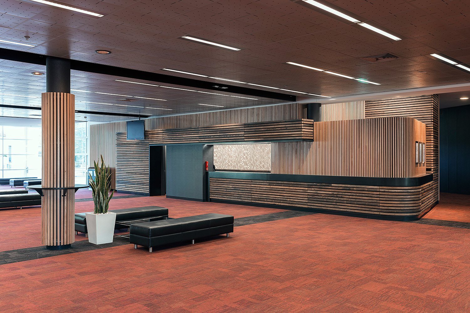 Featured timber cladding at the National Convention Centre 