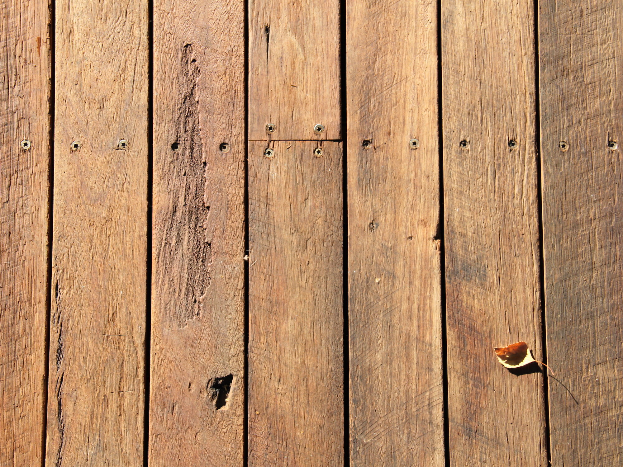 Close up of a recycled timber deck with some dried leaves