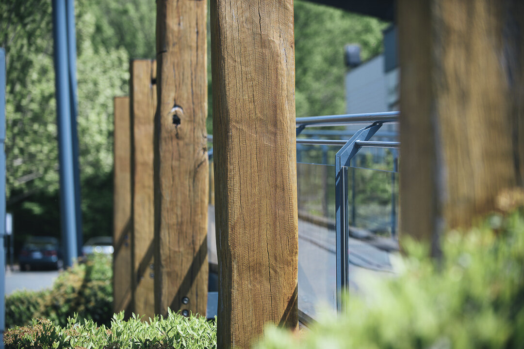 Outdoor recycled timber posts with greenery around at the National Gallery of Australia