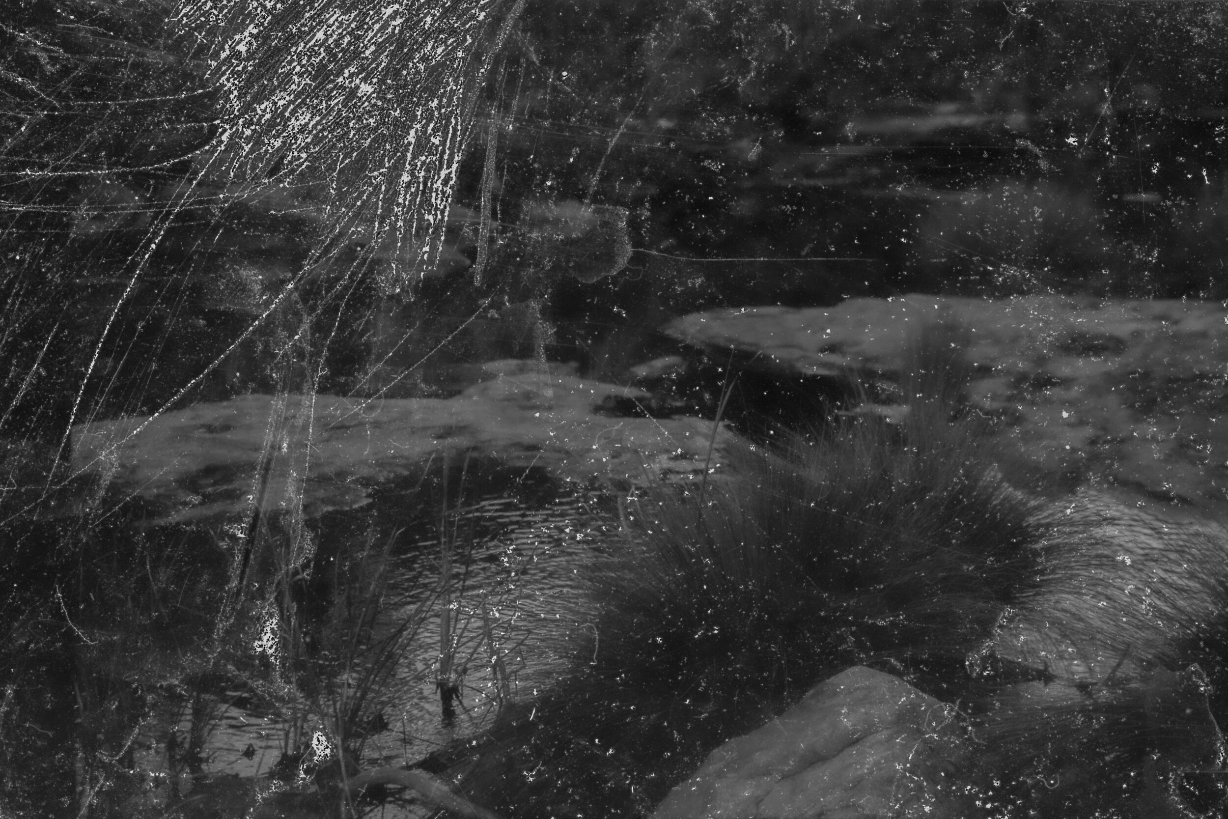  35mm photograph of the Bargo River, June 2020. This photograph was processed with Kodak XTOL and the contaminated waste-water collected from site. The image is marked by the demonic hand of the virulent water. Hostile lines are scraped across the im
