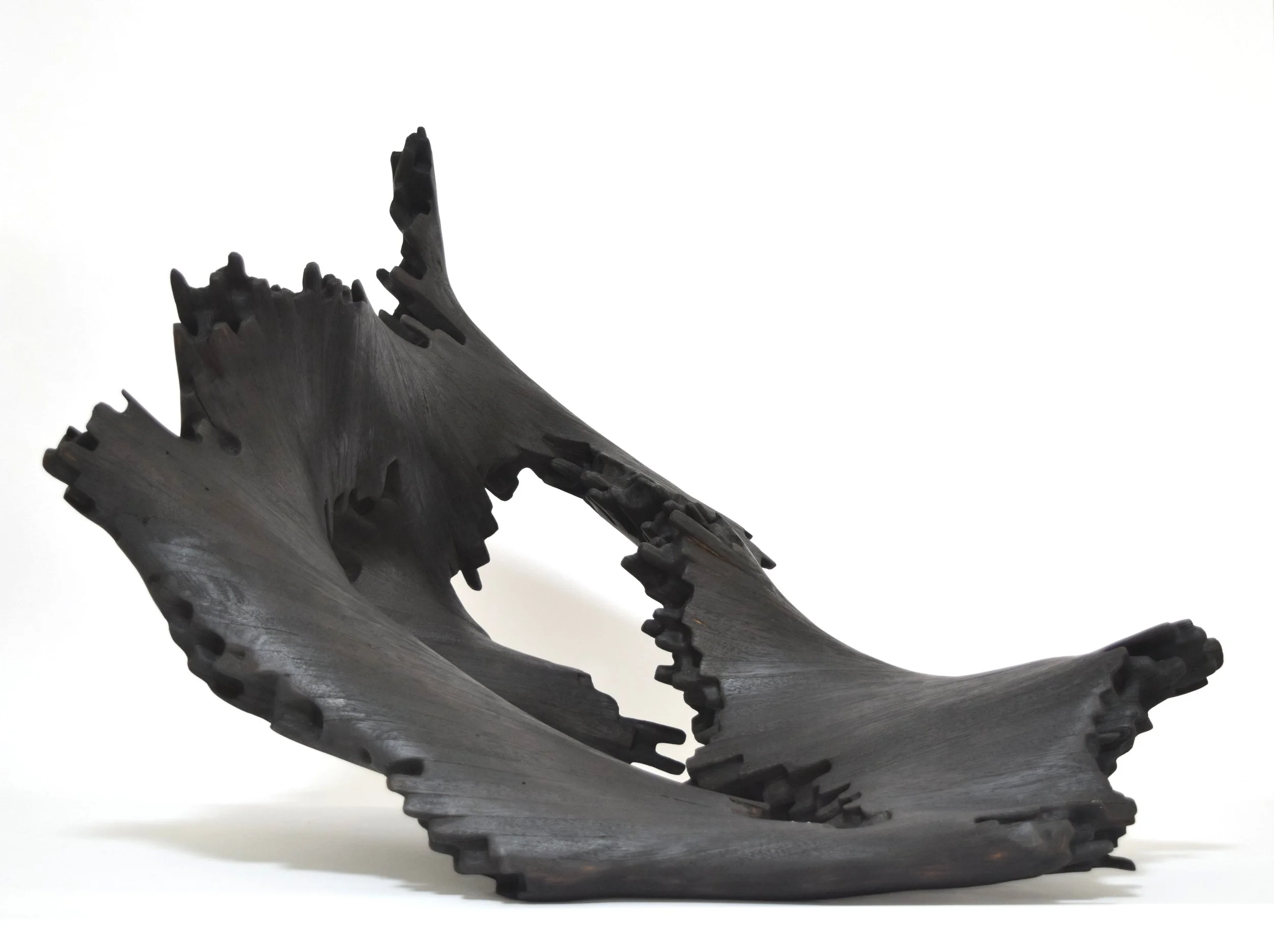 Image 1- Tom O'Hara_S02E01 'Hot days and curled bark'_2025_photo by artist (1).jpg