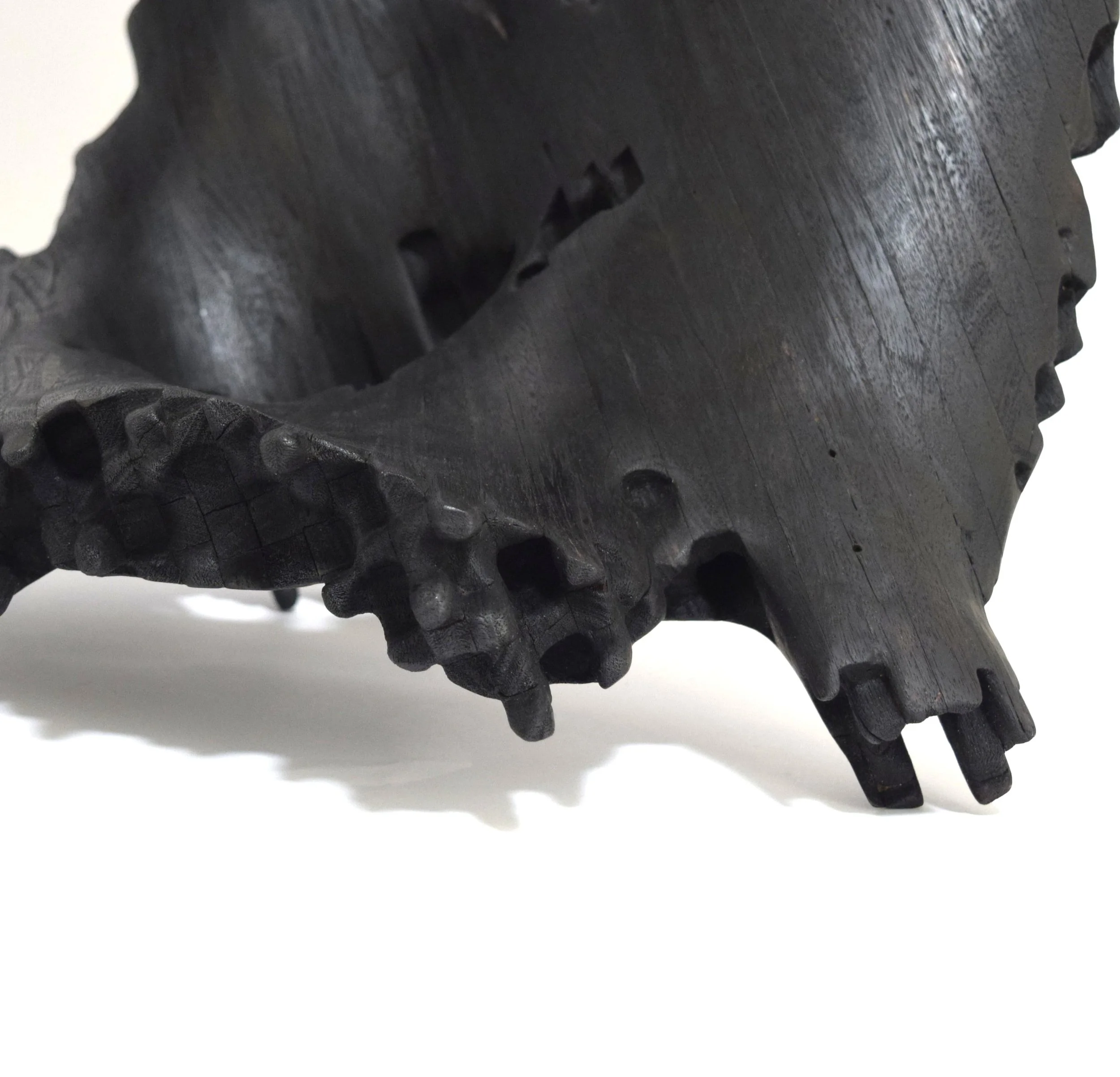 Image 3-Tom O'Hara_S02E01 'Hot days and curled bark'_2025_photo by artist (1).jpg