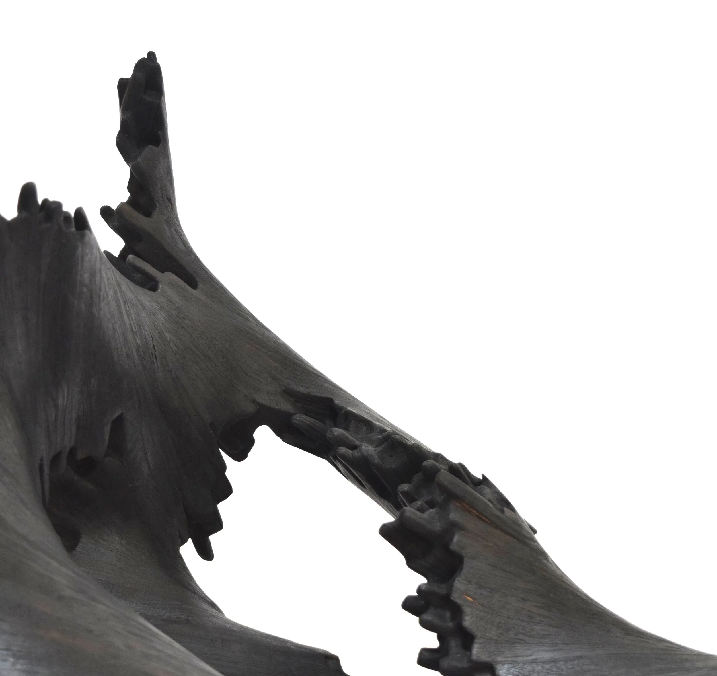 Image 2-Tom O'Hara_S02E01 'Hot days and curled bark'_2025_photo by artist (1).jpg