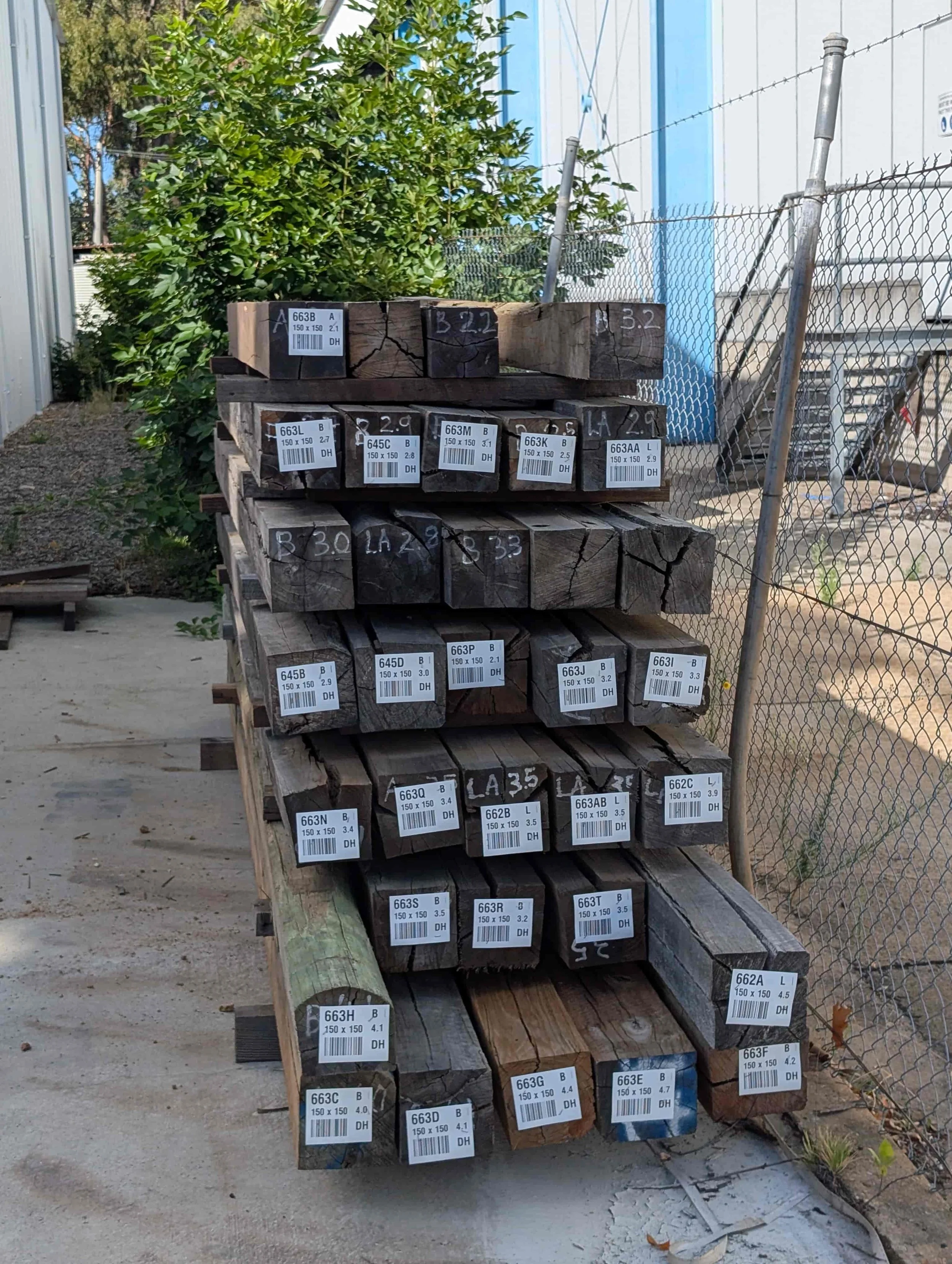 PXL_20260218_223402641 (1).jpg