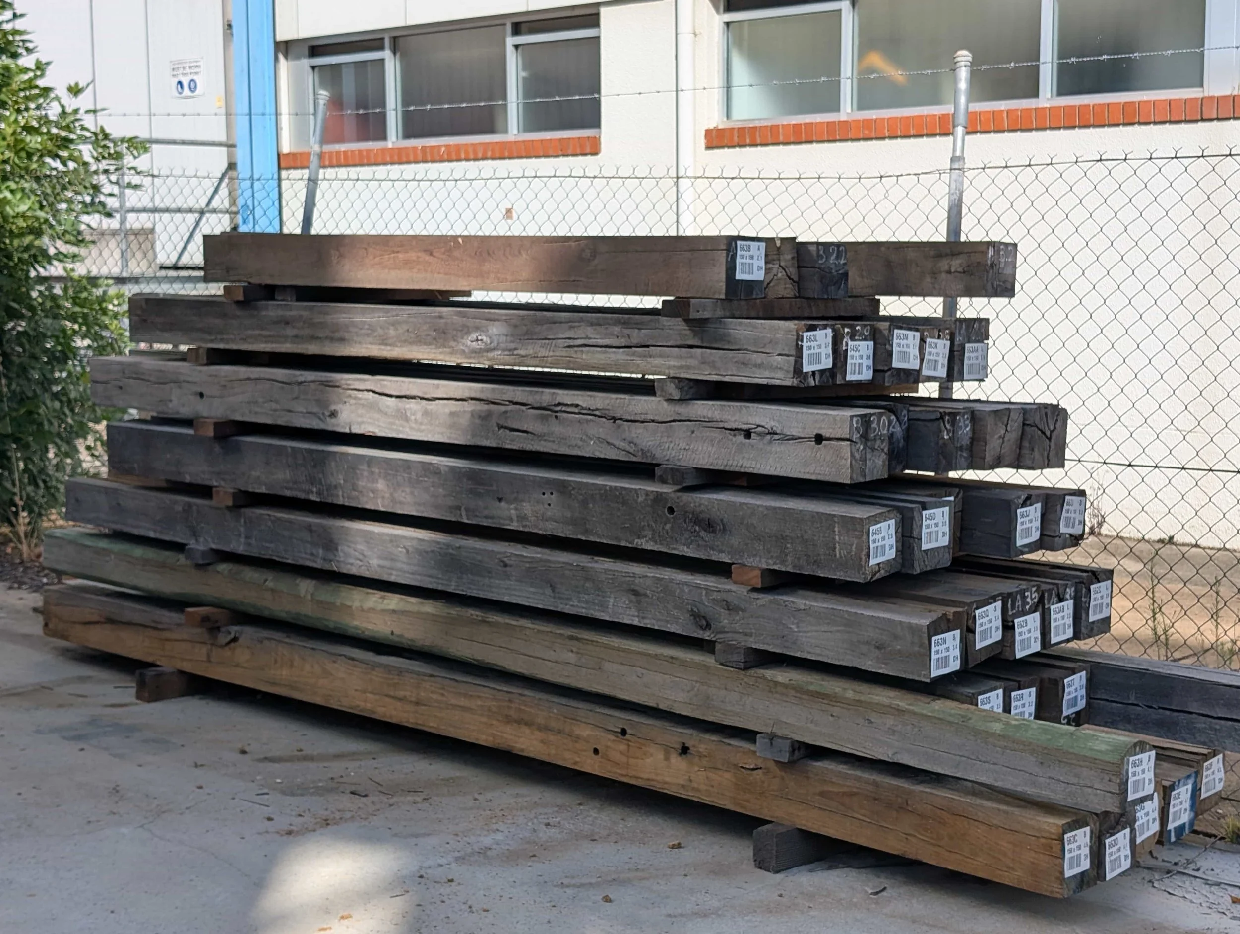 PXL_20260218_223416454.MP (1).jpg