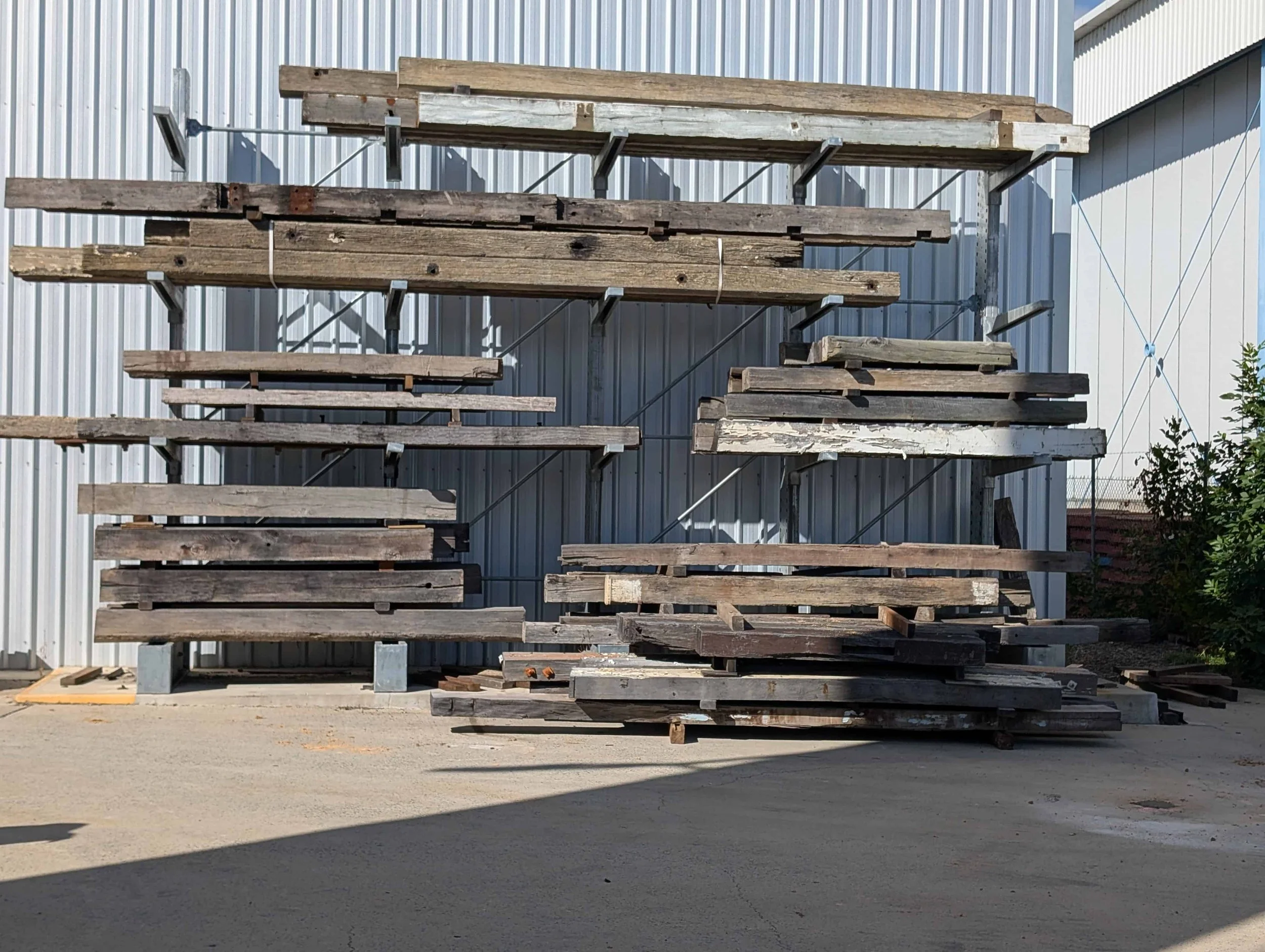 PXL_20260218_223318424.MP (1).jpg