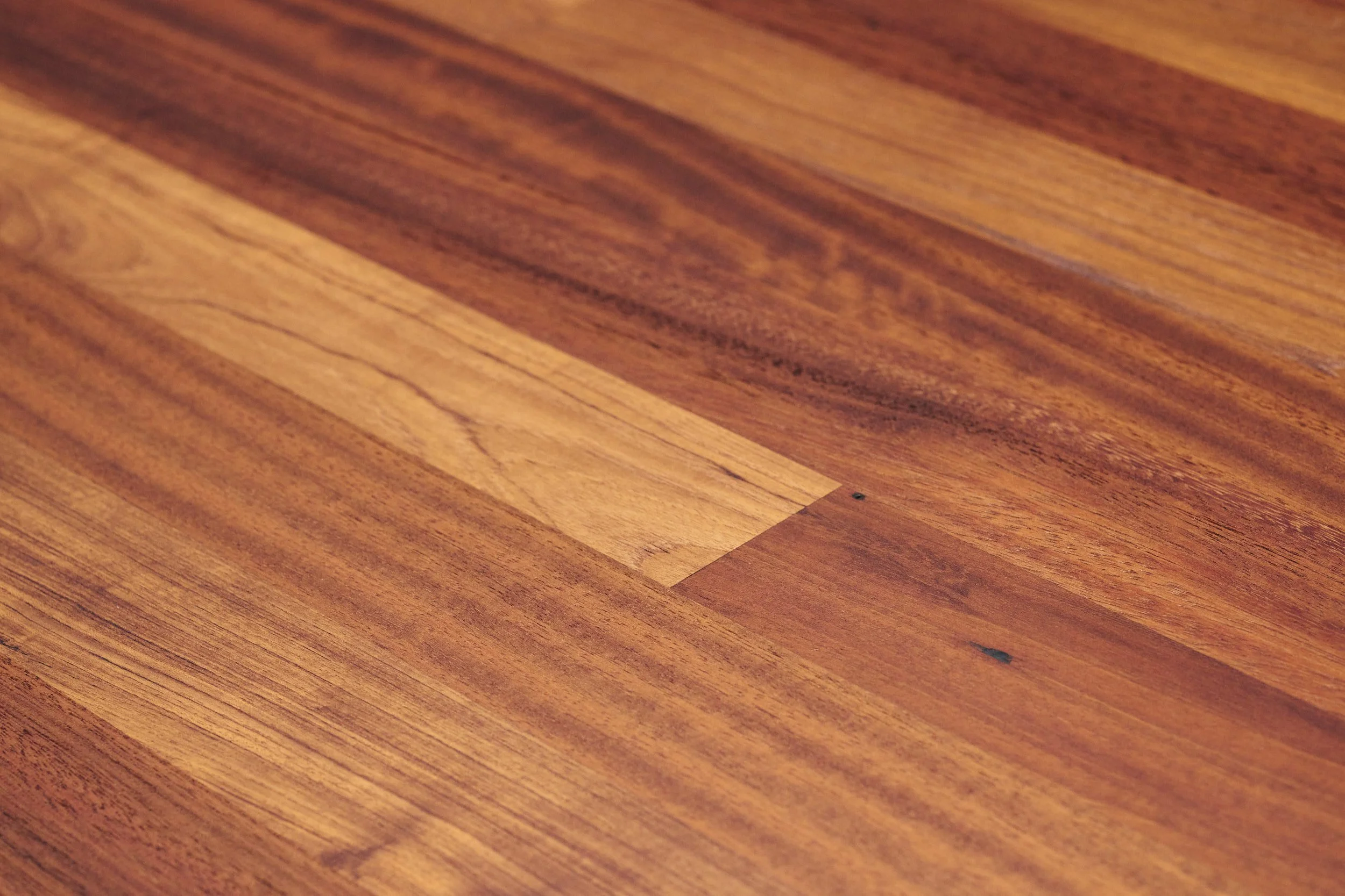 Copy of Lowres-231117-Thors-284554.jpg