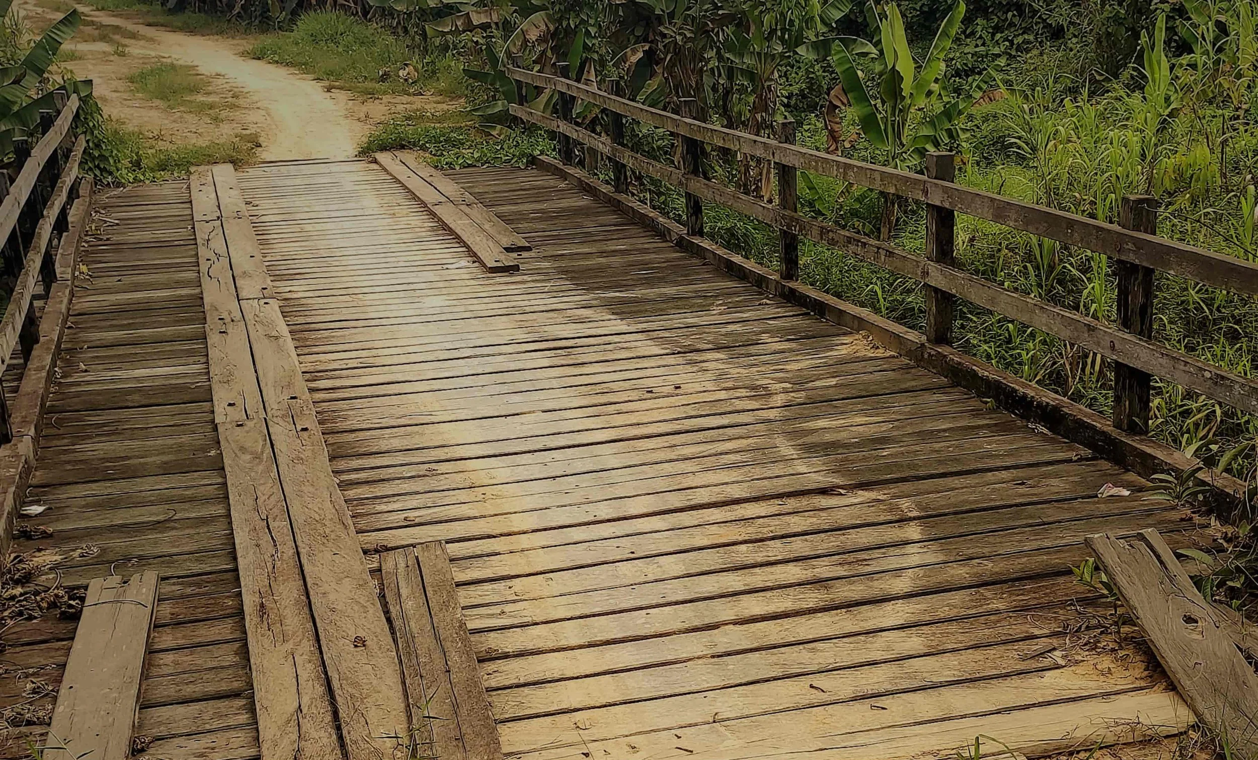 bridge.jpg