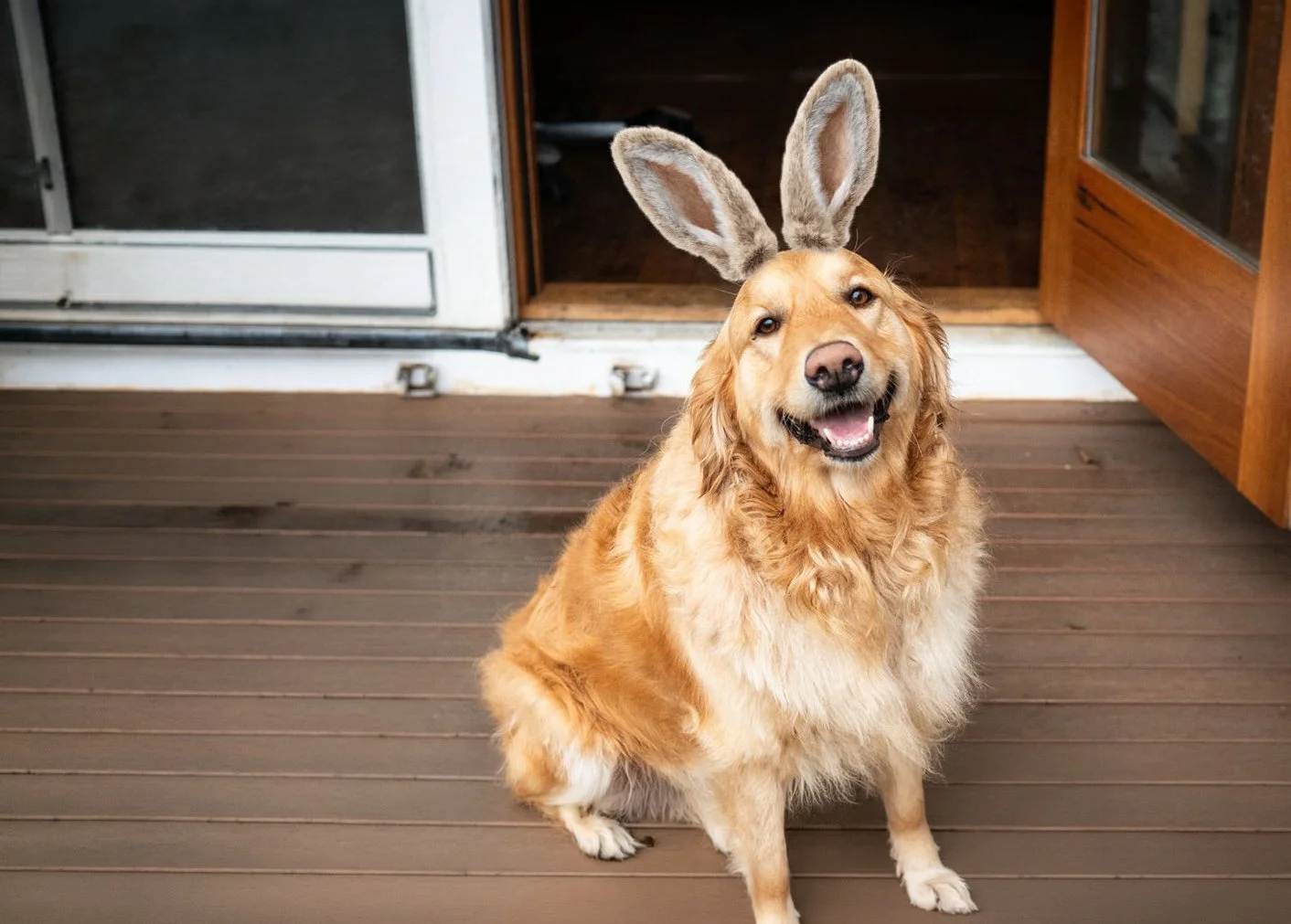 Closed Easter Long Weekend