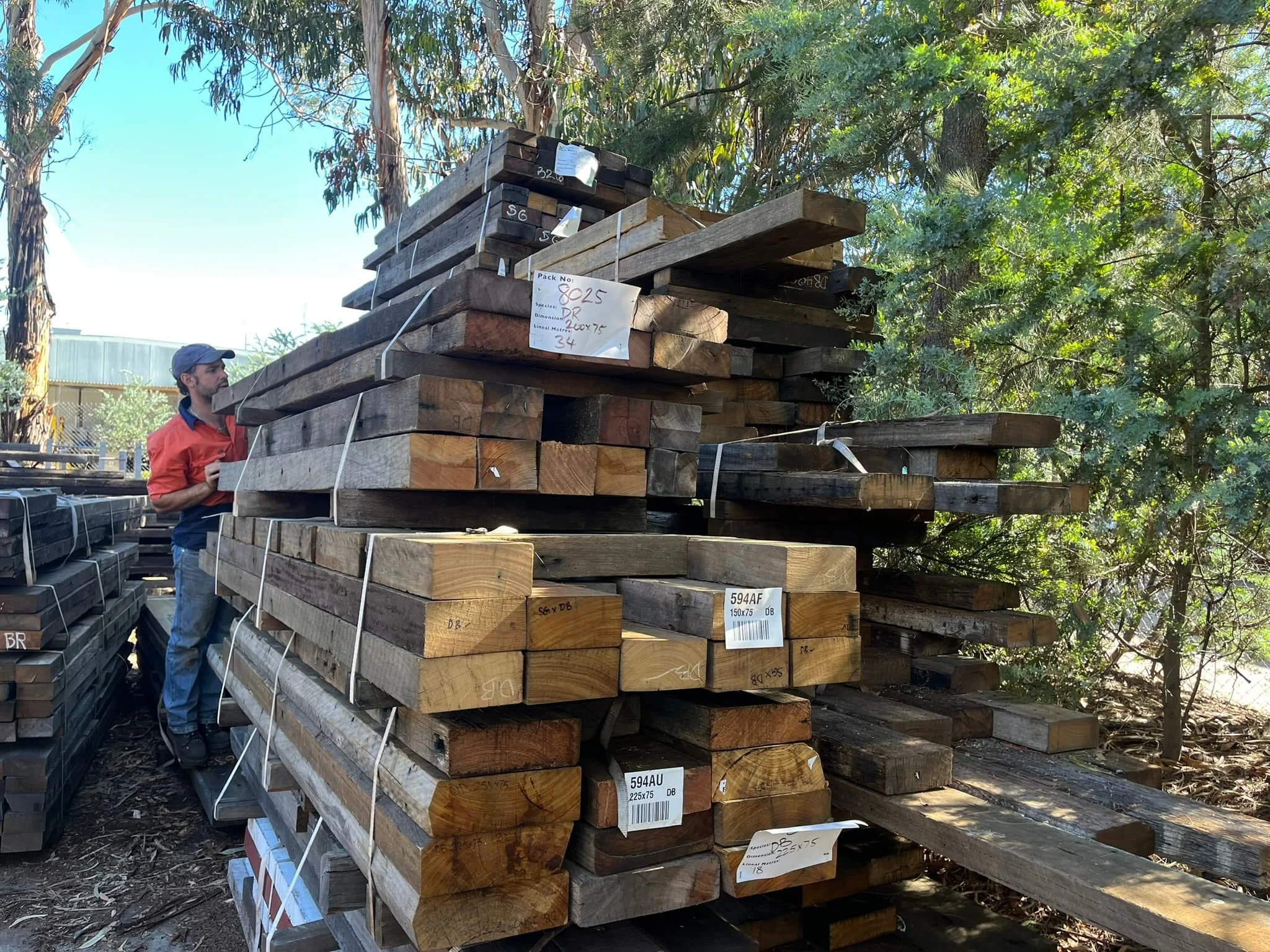 Short wide boards2.jpg