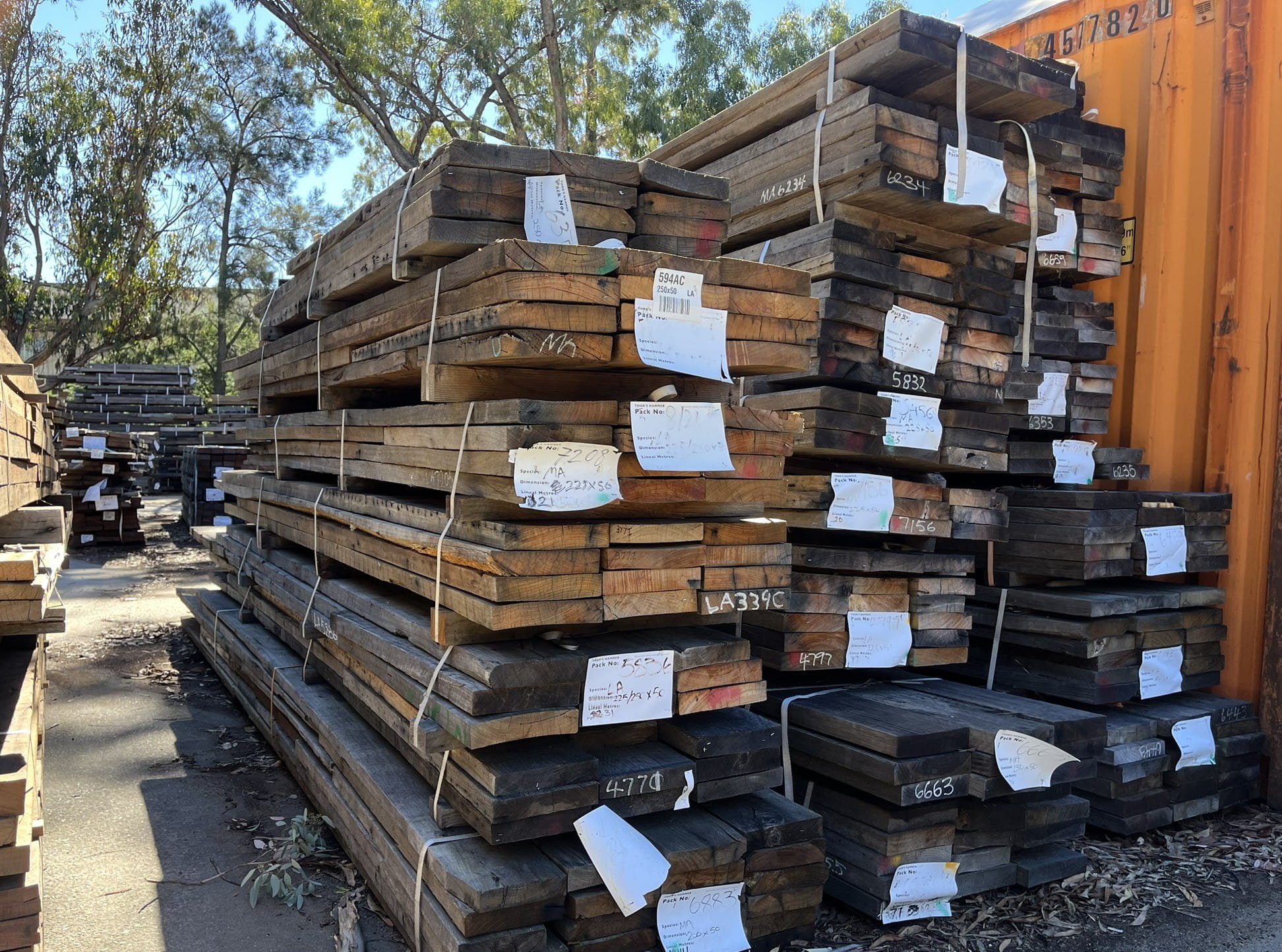 Long wide ash (1).jpg