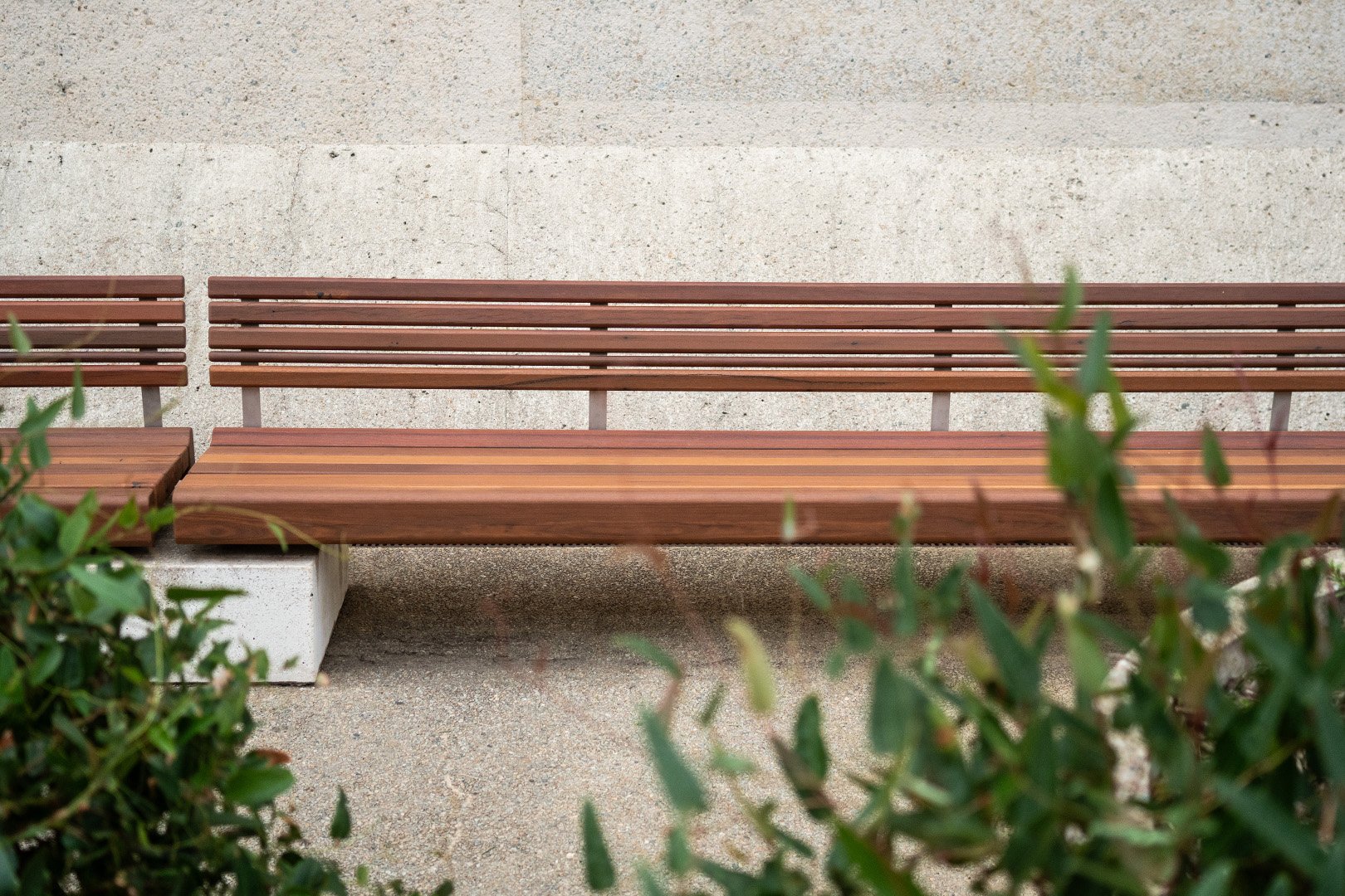 DSC00555LR.jpg