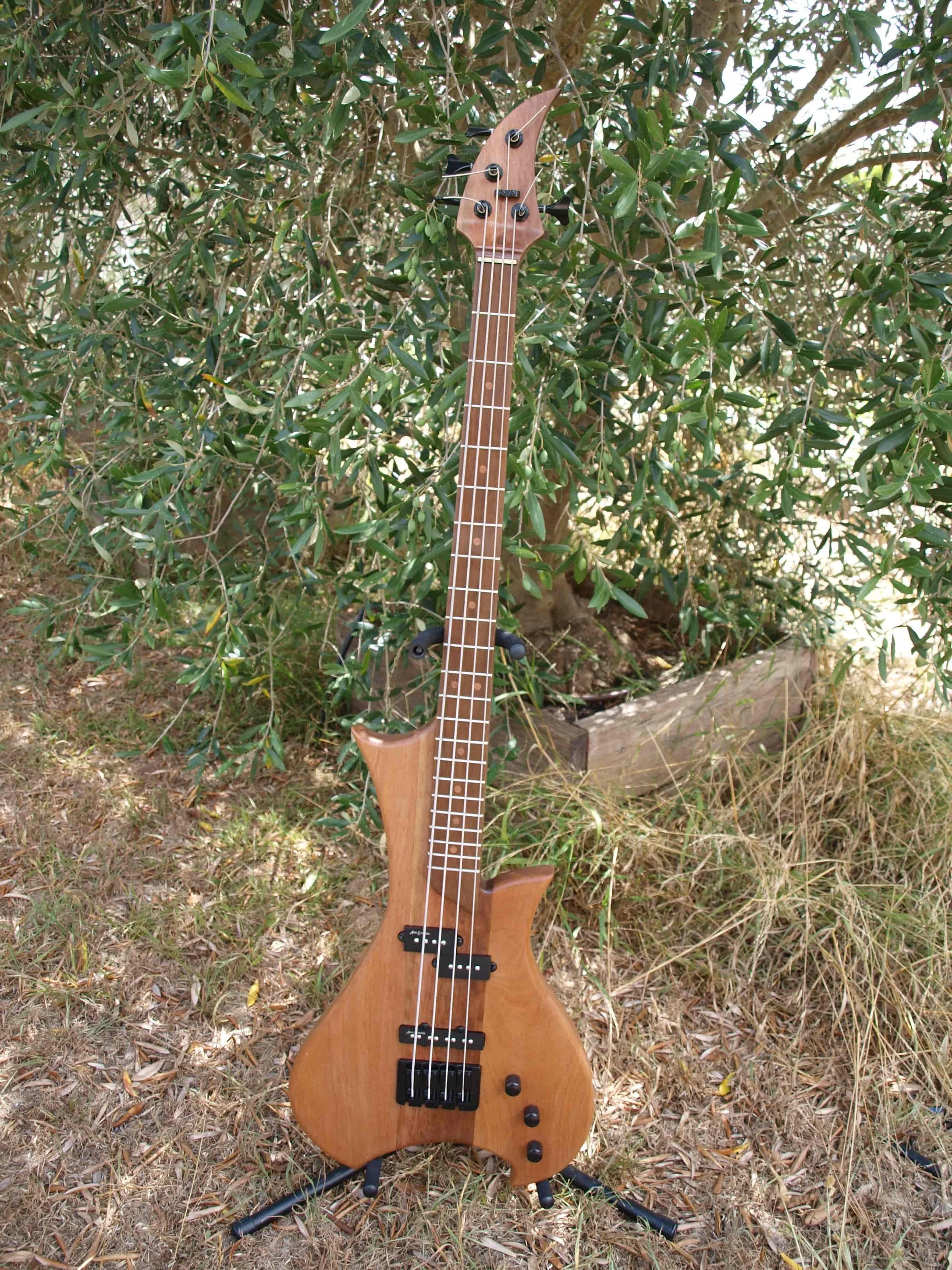 P2038601 (1).jpg