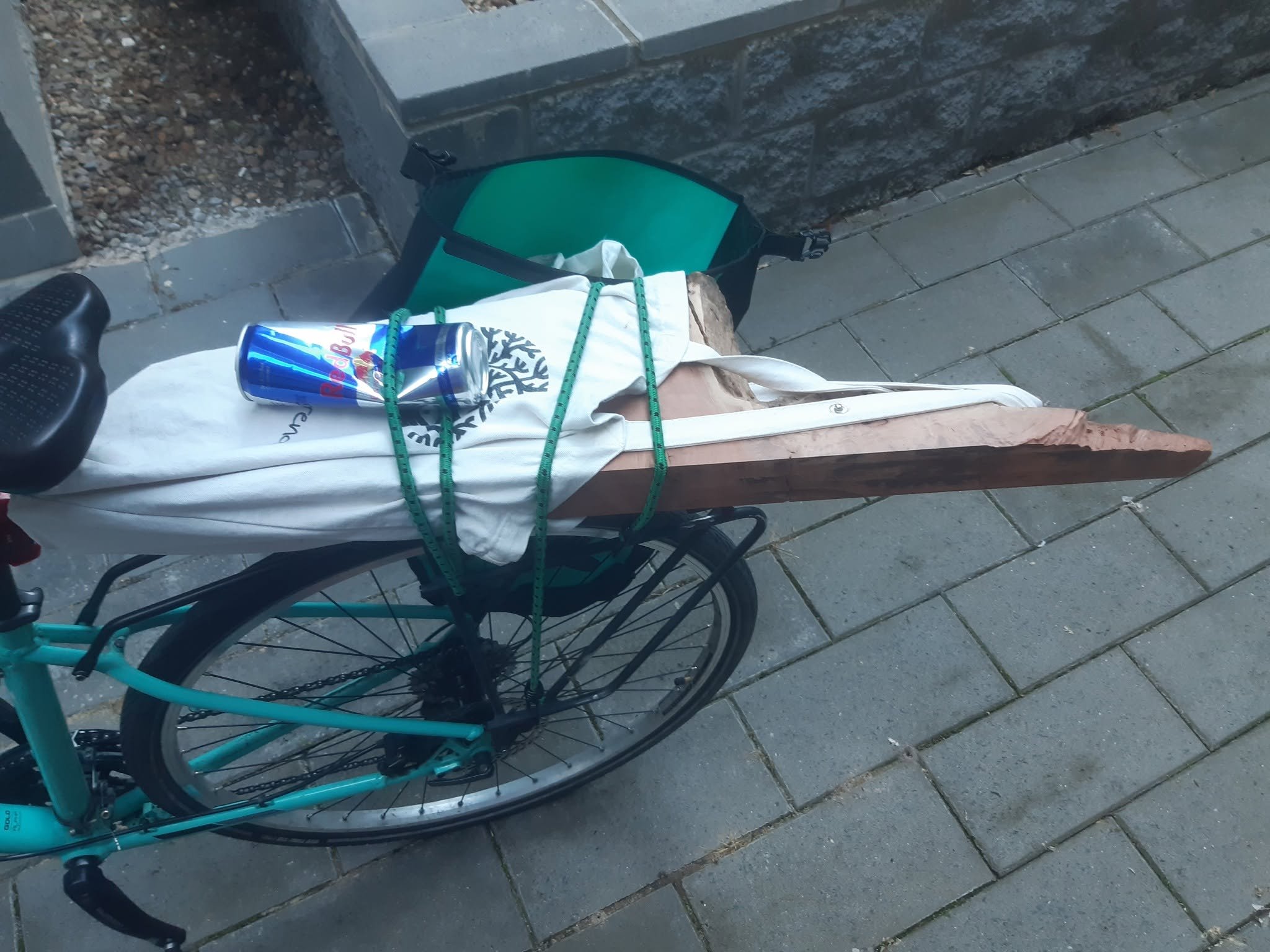 Thor's on bike.jpg