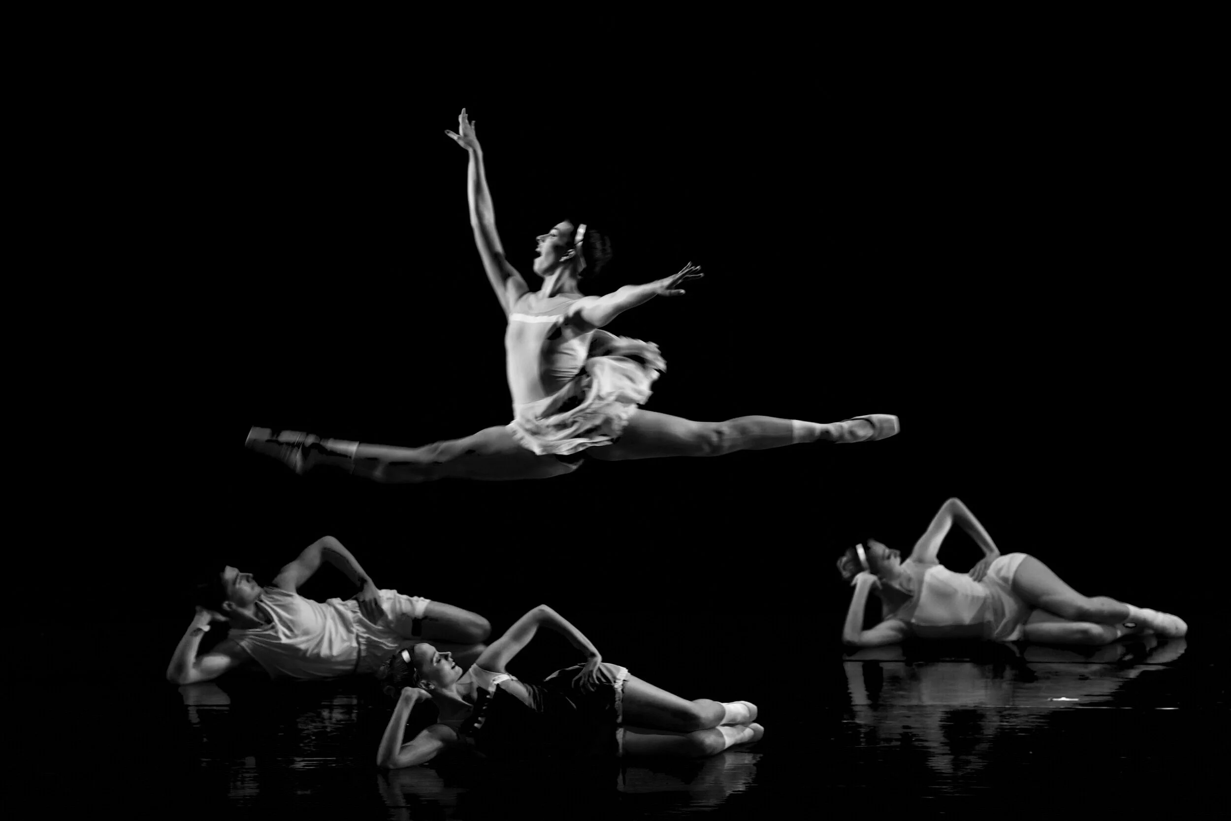 Brothers and Sisters