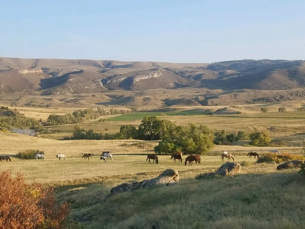 Room to Breathe.jpeg