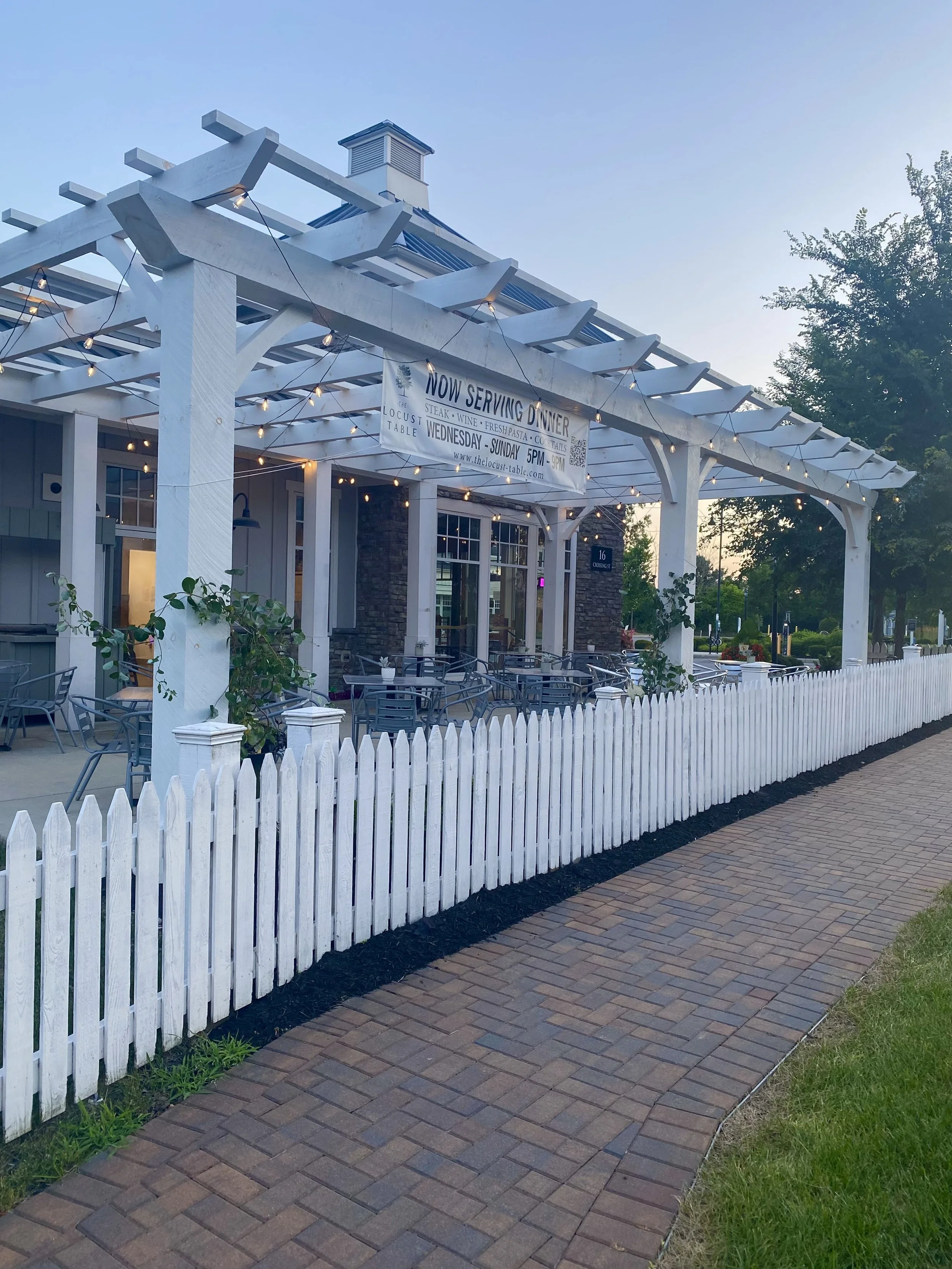Patio Lights and Vine.jpg