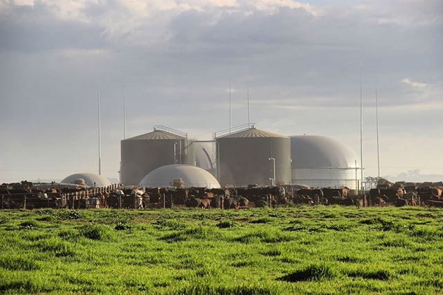 The BMW South Africa / Bio2Watt renewable energy partnership is the first commercially viable biogas project. Combigas was asked to provide a specification and proposal for the biogas plant that would process both agricultural and industrial waste, s