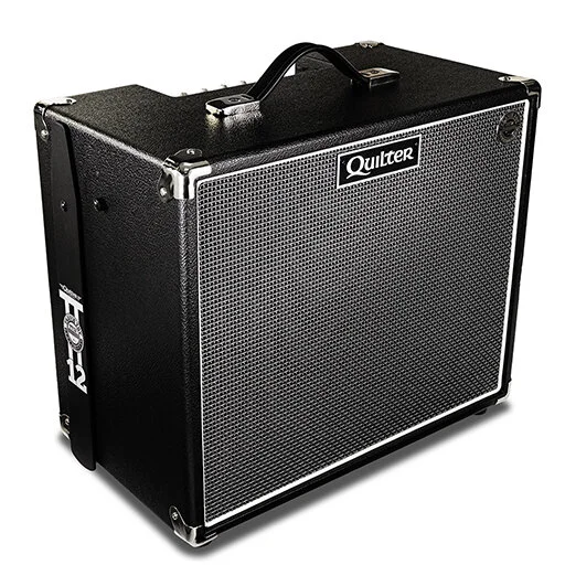 travis toy steel guitar