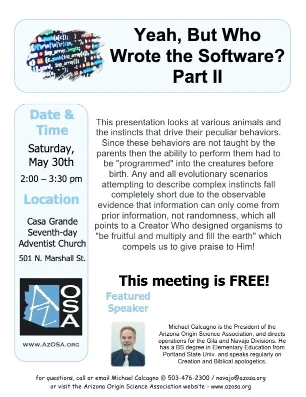 Yeah, But Who Wrote the Software?