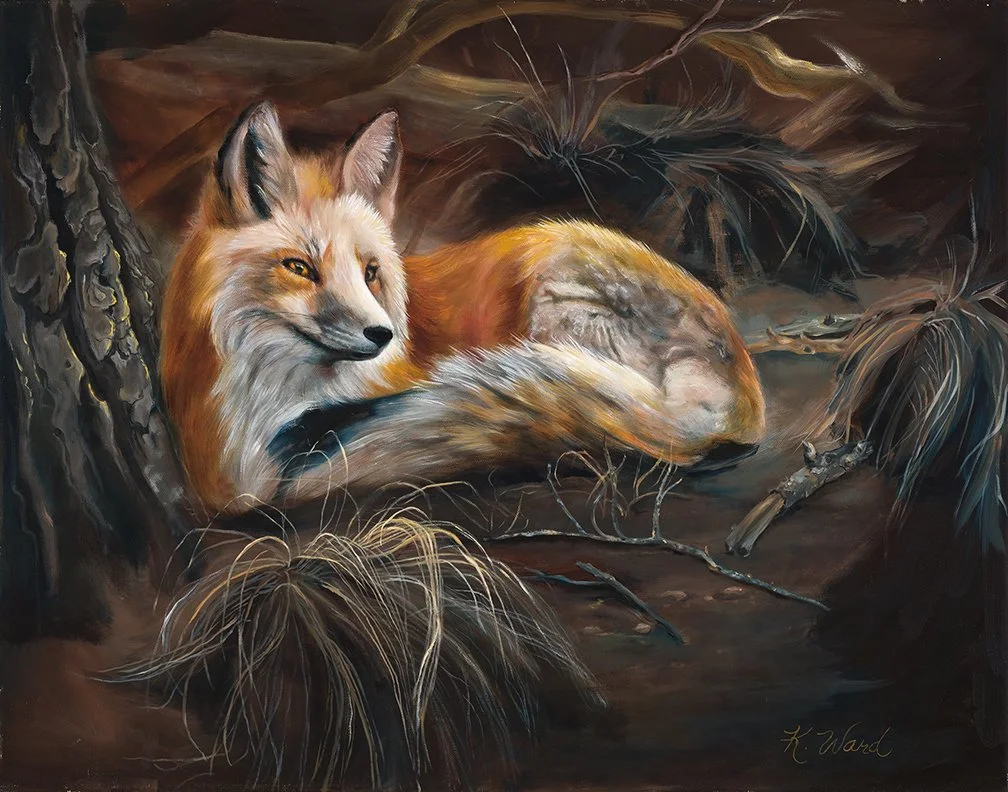Resting Fox