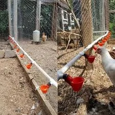 coop deisng 5.jpeg