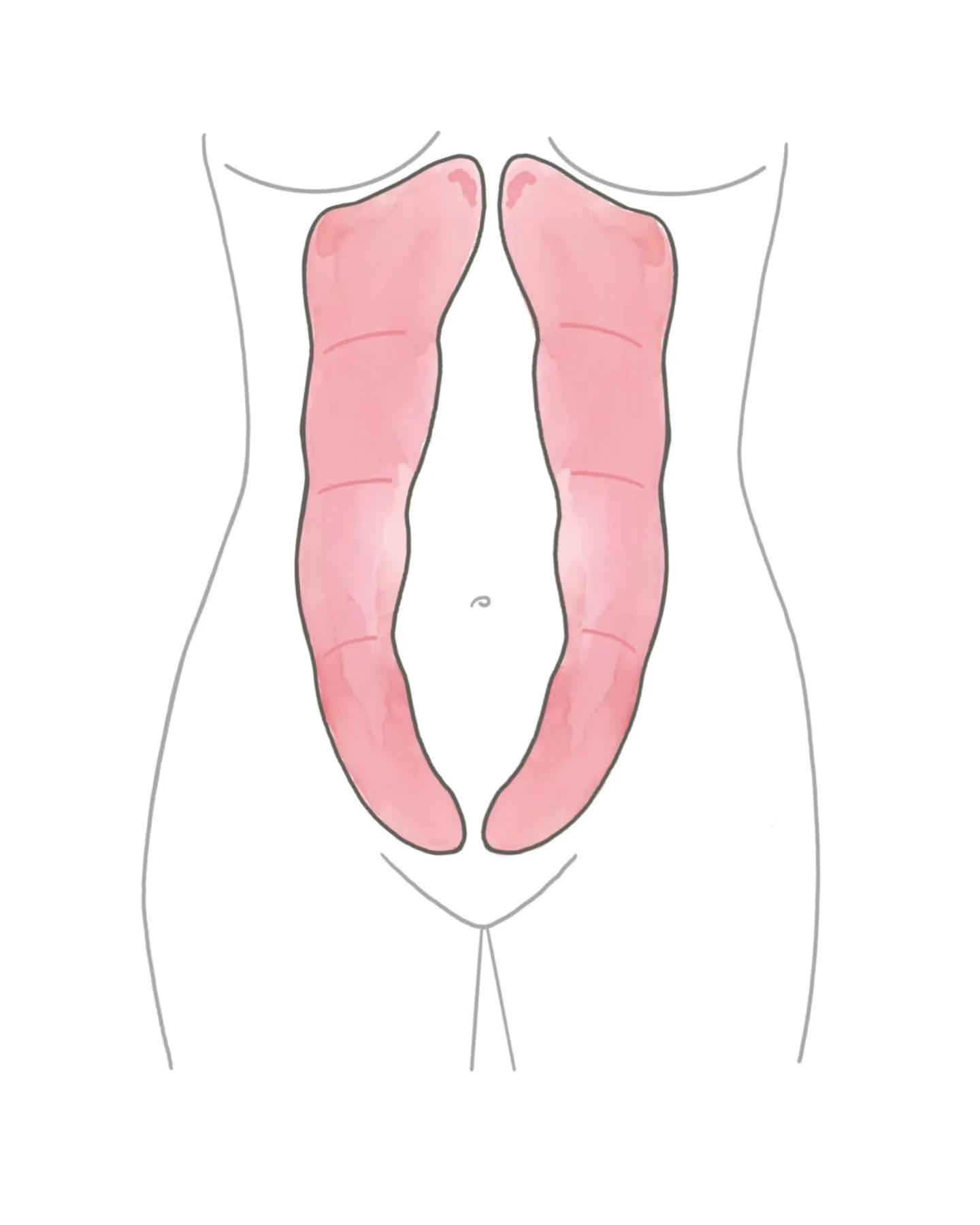 { Mind the Gap. }

#NachDerGeburt

In der Schwangerschaft dehnt der wachsende Bauch deine graden Bauchmuskeln stark auseinander. 
Dabei wird auch die Linea alba, die senkrechte Bindegewebsnaht zwischen den geraden Bauchmuskeln, bis zu 10 Zentimeter a