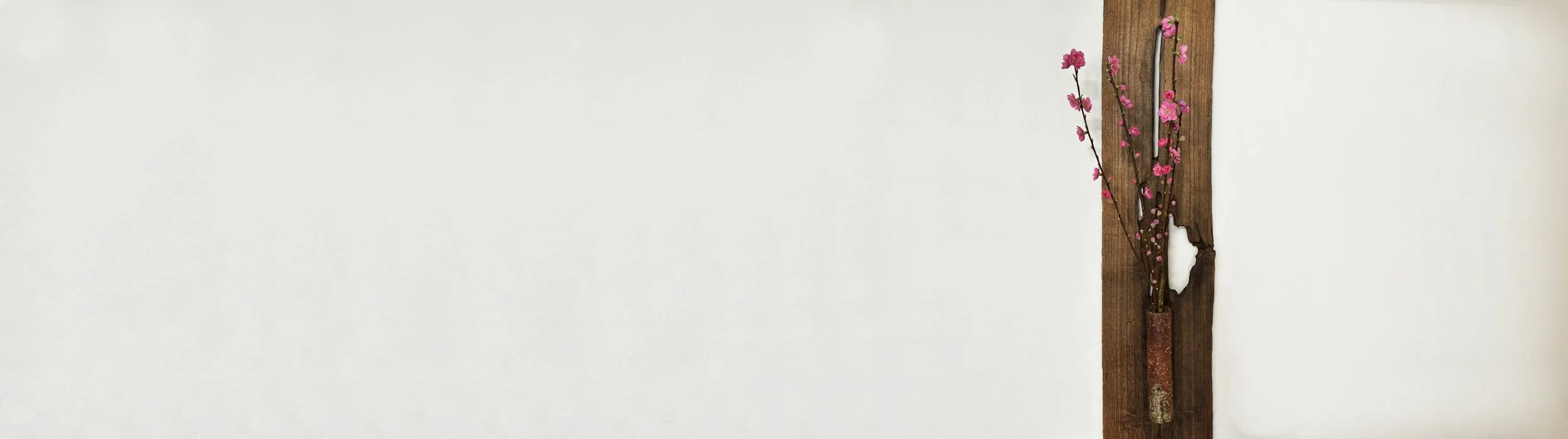 Ume Banner_contrastup.jpg