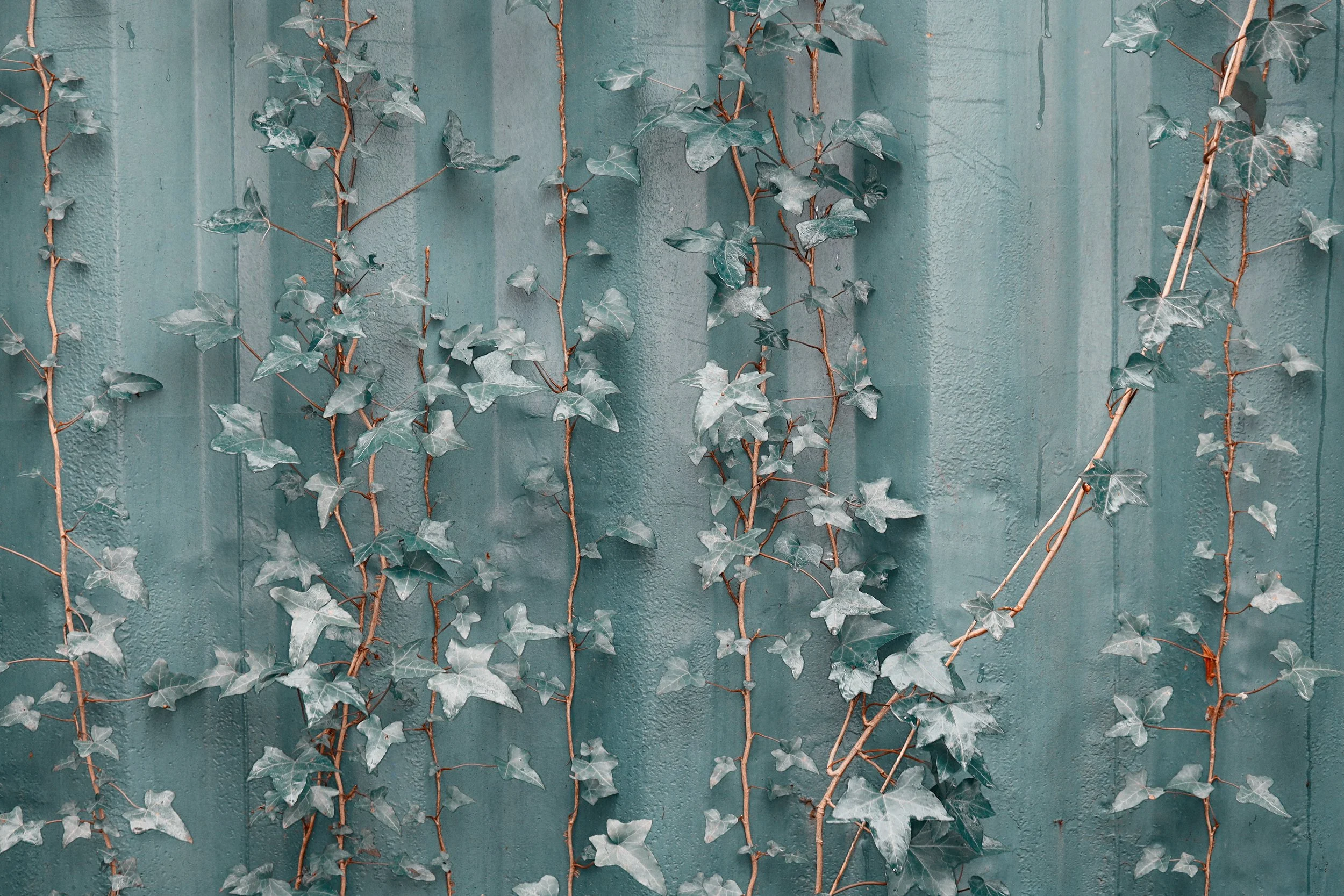 Perspectives from an Interim Consultant