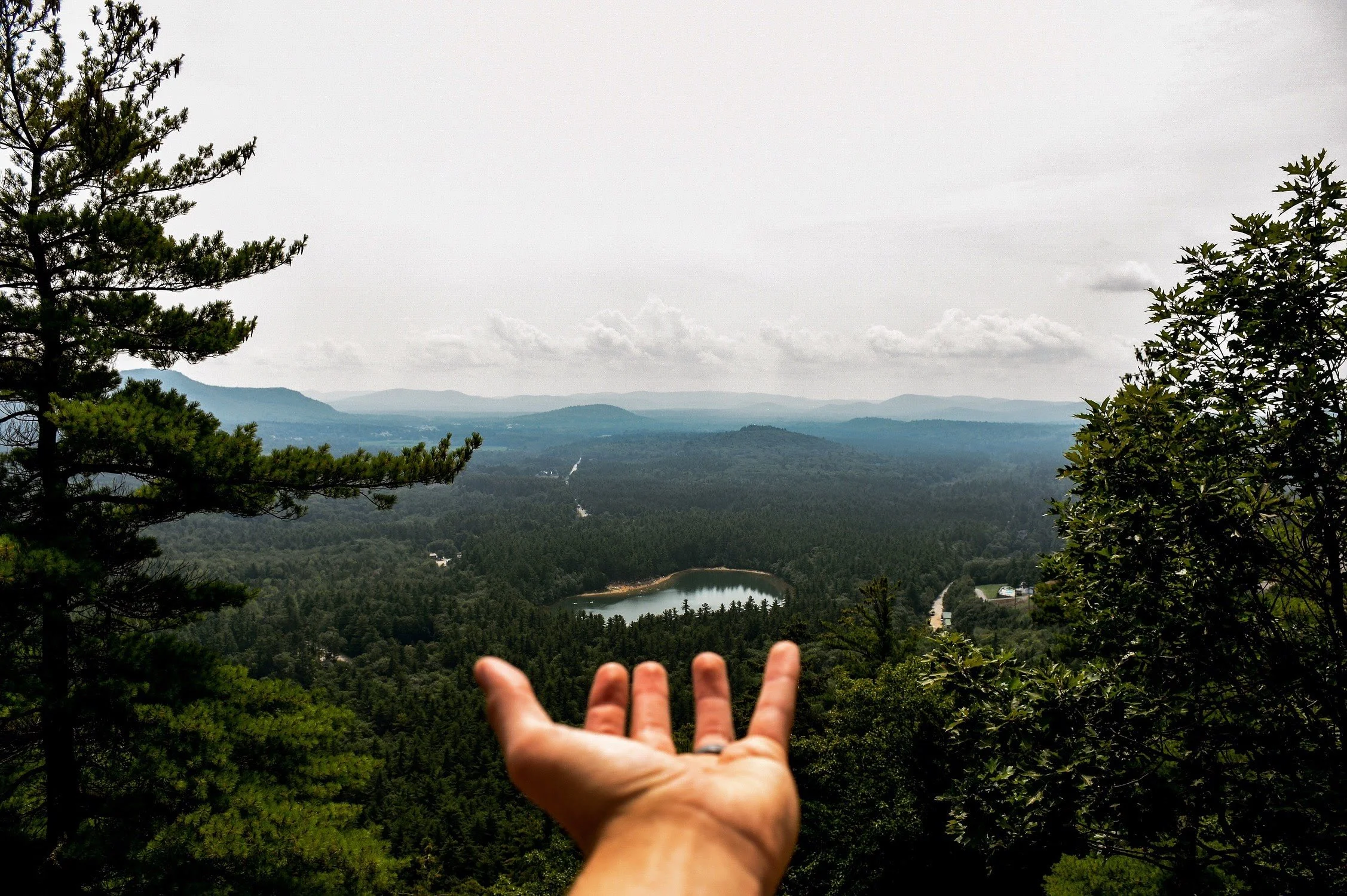 The Path to Sustainable Leadership in a Complex World